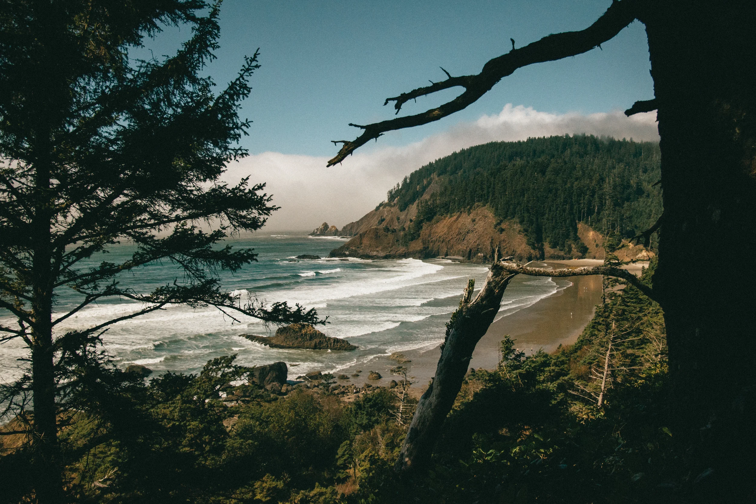 Portland Oregon Photography-24.jpg