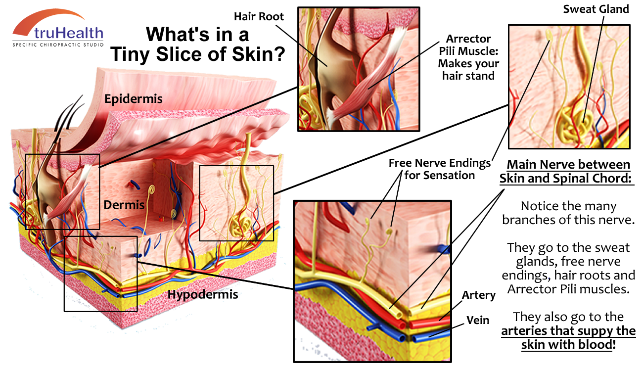 Click image to enlarge.