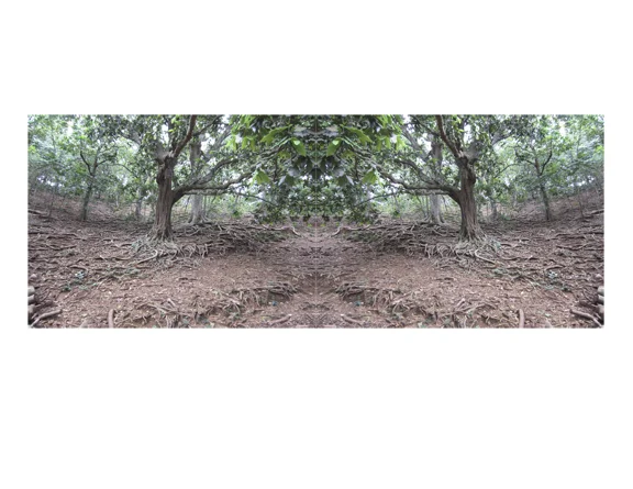 Tree Manipulation