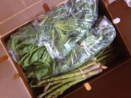 The first week's box ready to be unloaded.