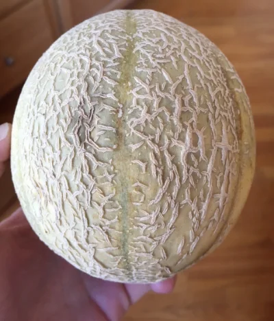 A Sugar Cube melon