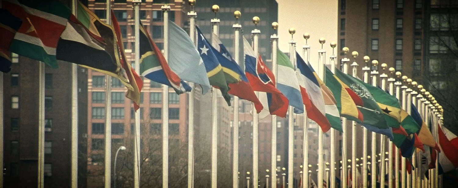 UN_Members_Flags.JPG