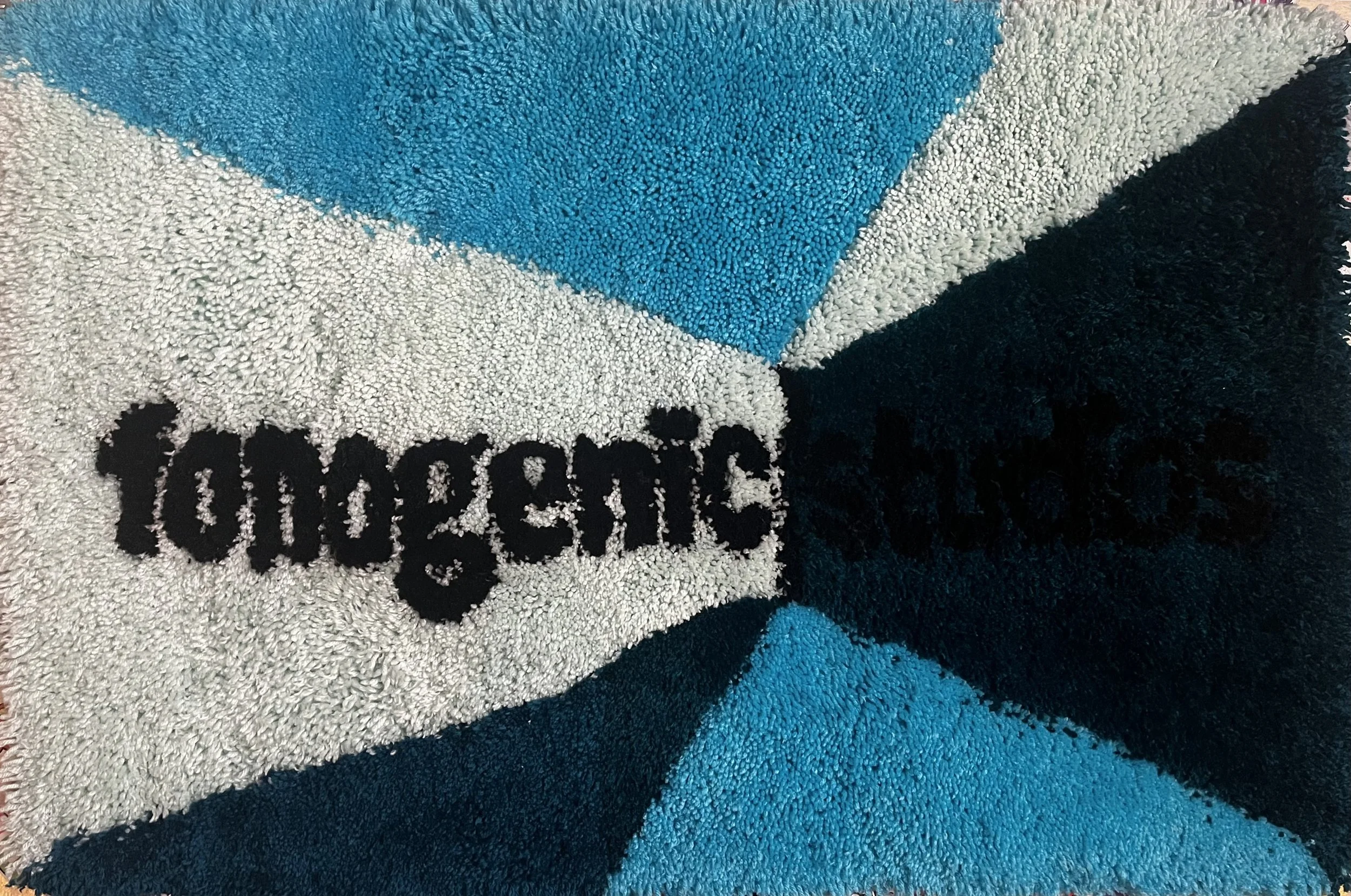 FonogenicUSA.jpeg
