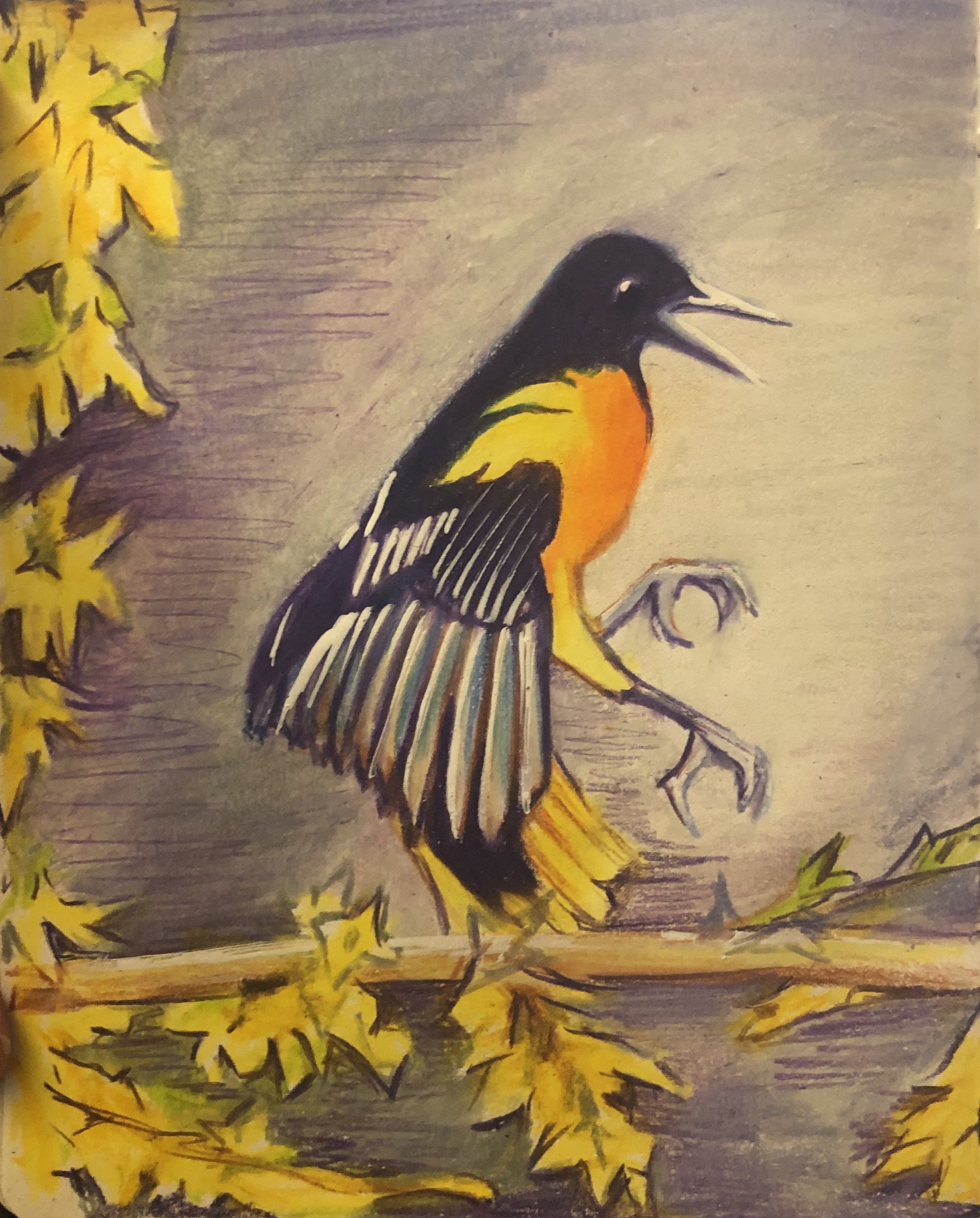 Bird2.jpeg