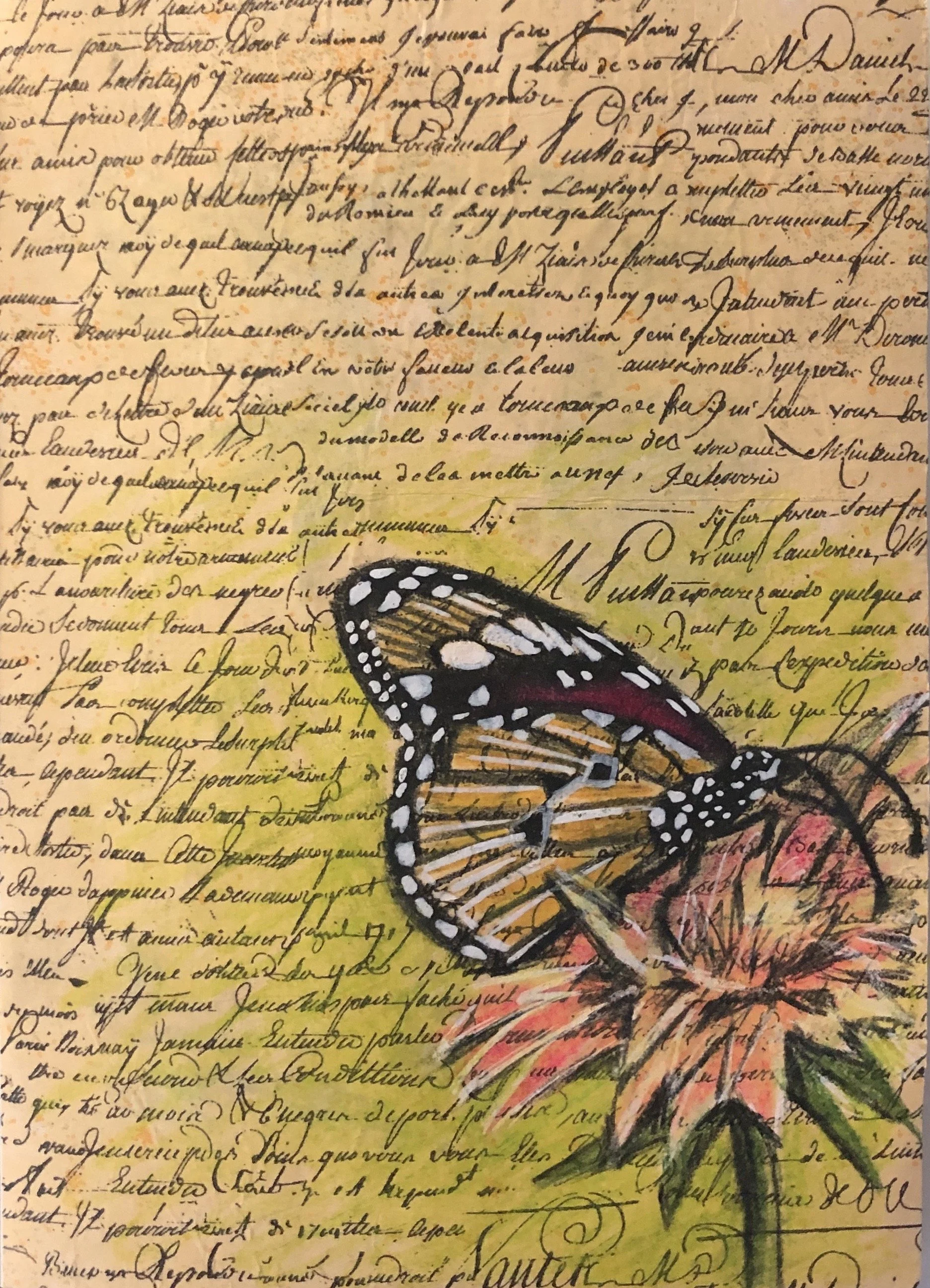 Butterfly.jpeg