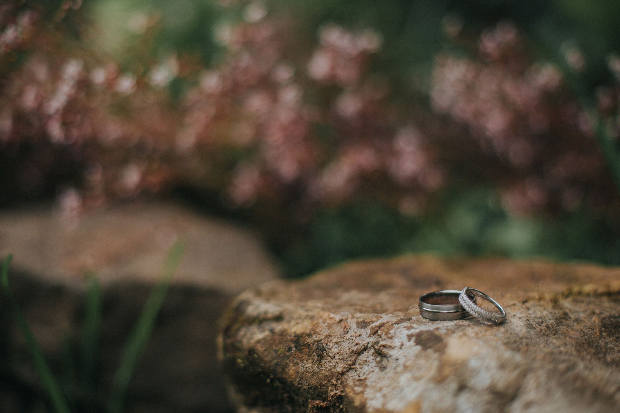 Dawn_and_david (659).jpg