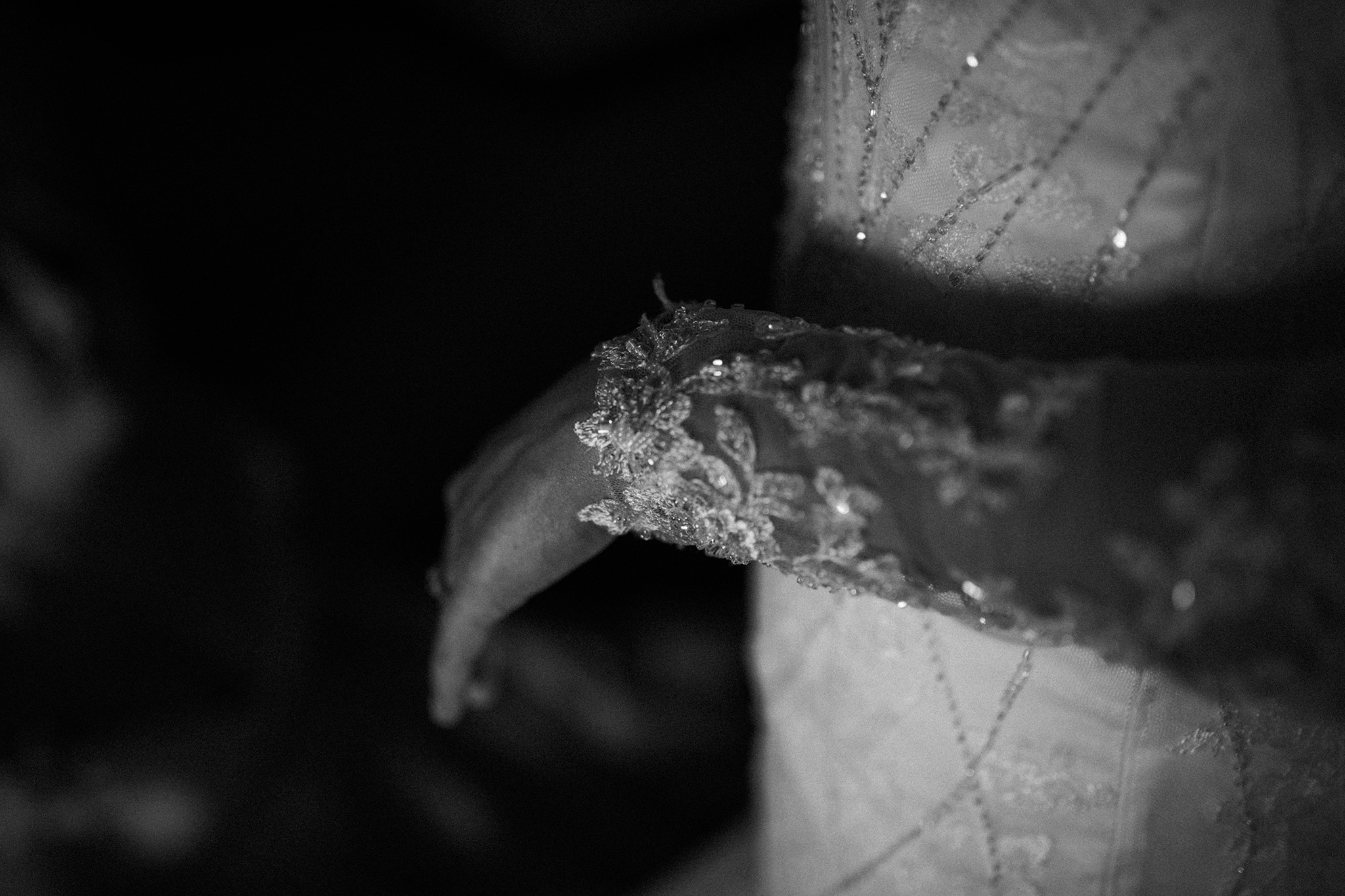 054A2595.jpg