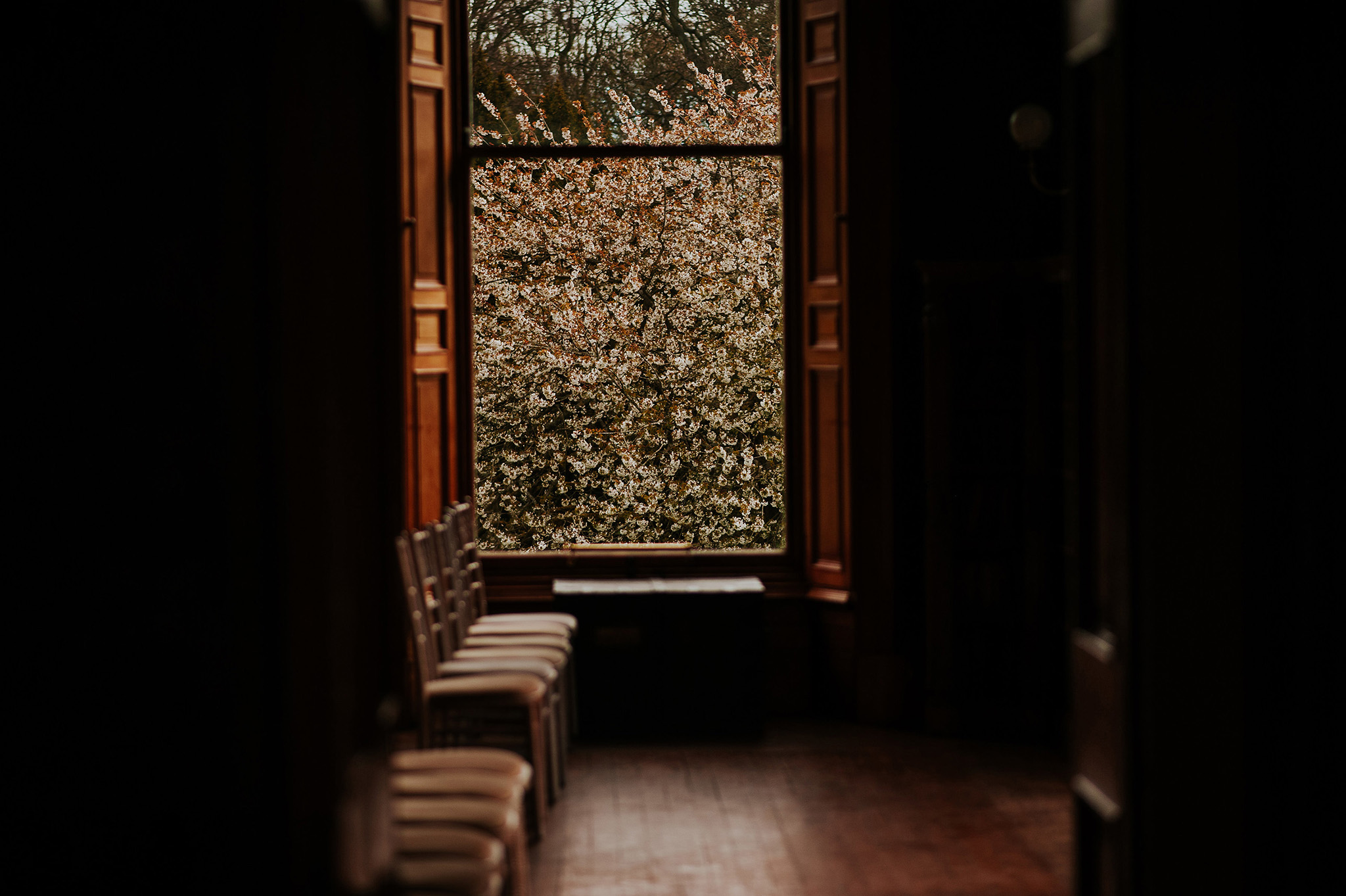S+A_Hires(11).jpg