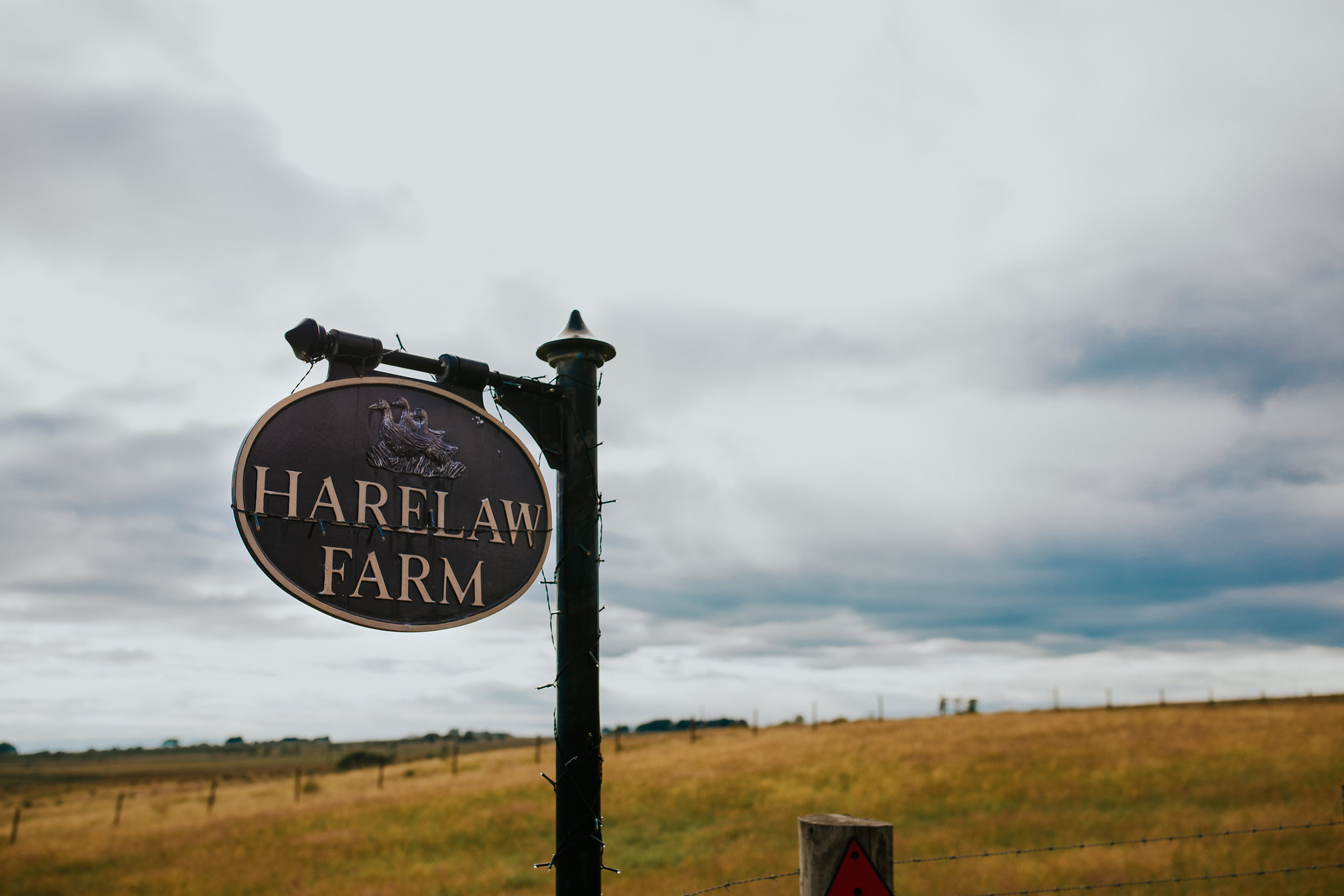 harelaw farm wedding photographs (98).jpg