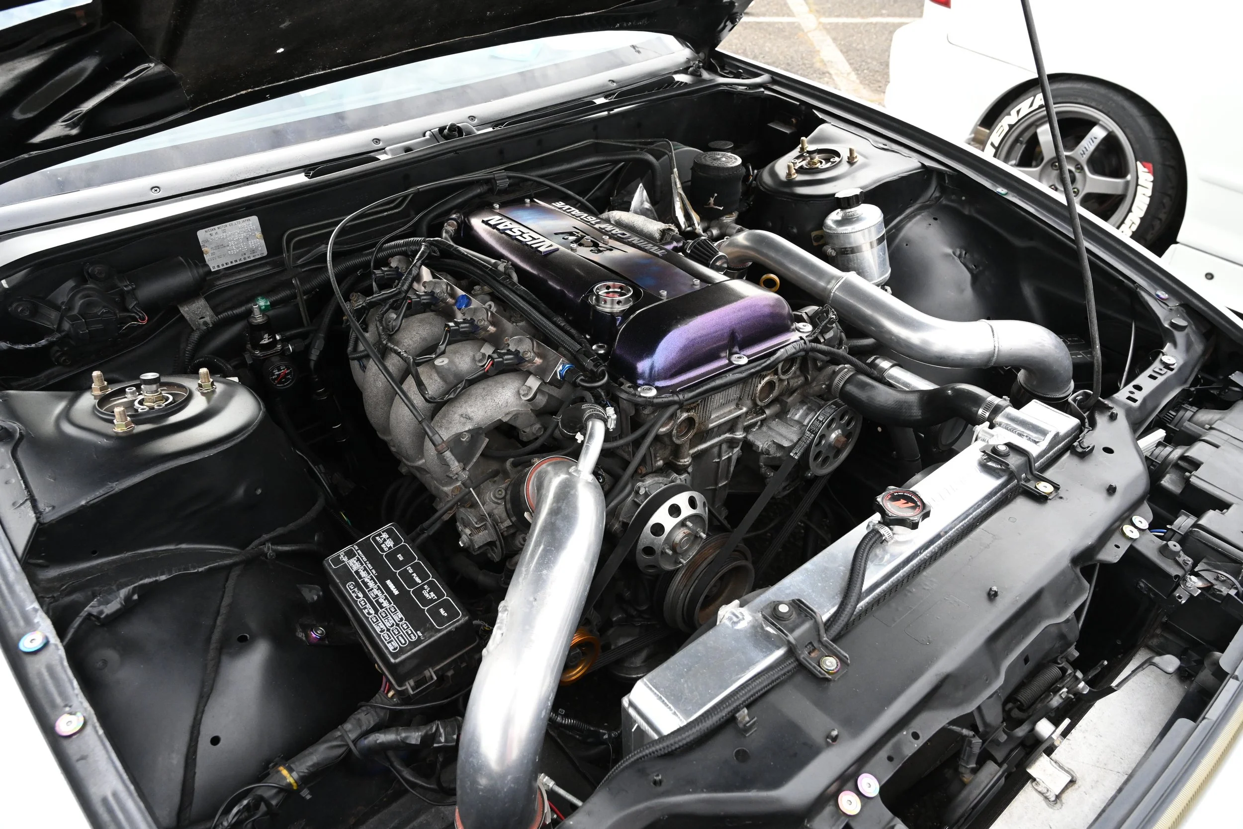 DSC_2434.JPG