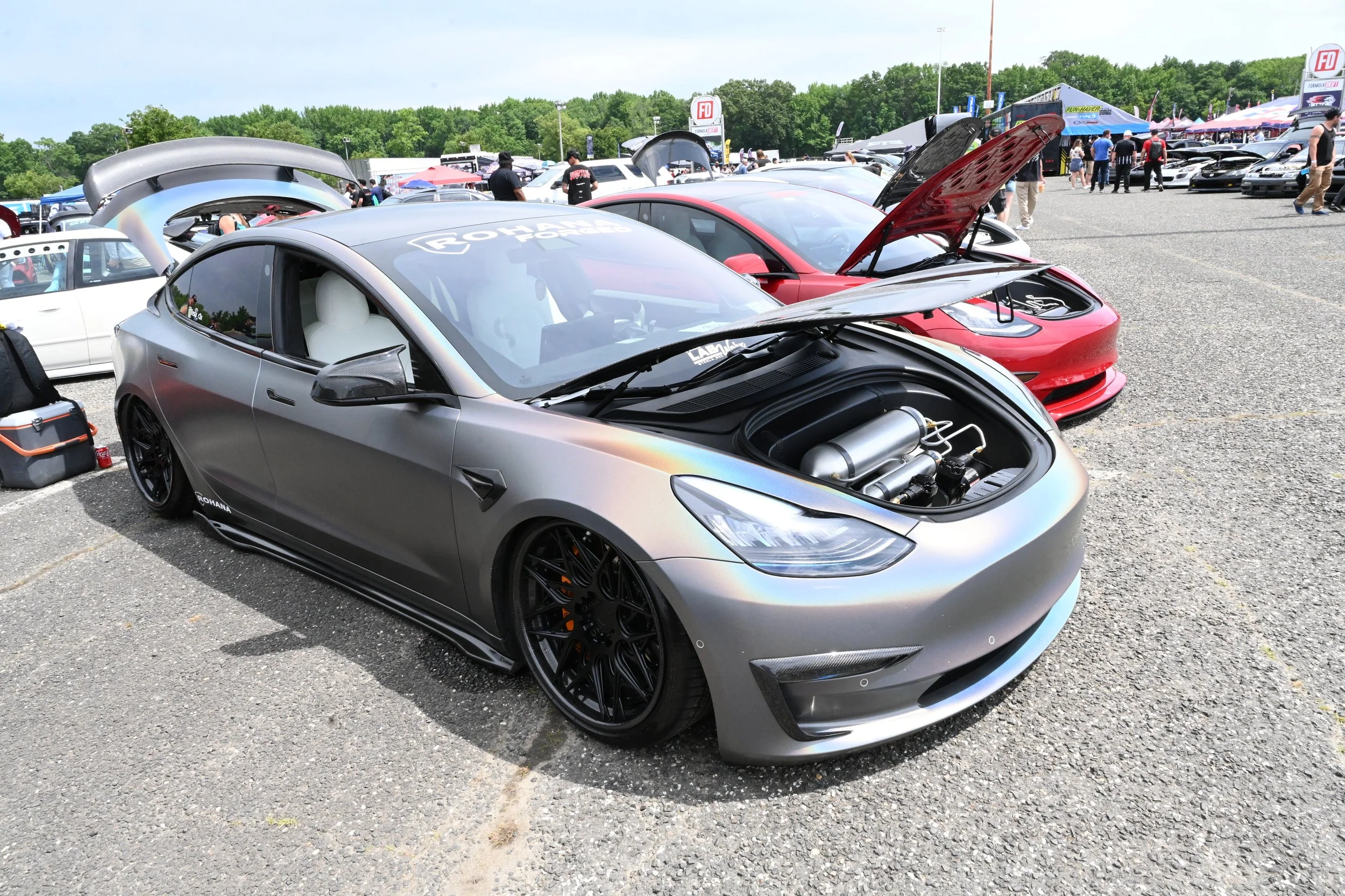 DSC_2533.JPG