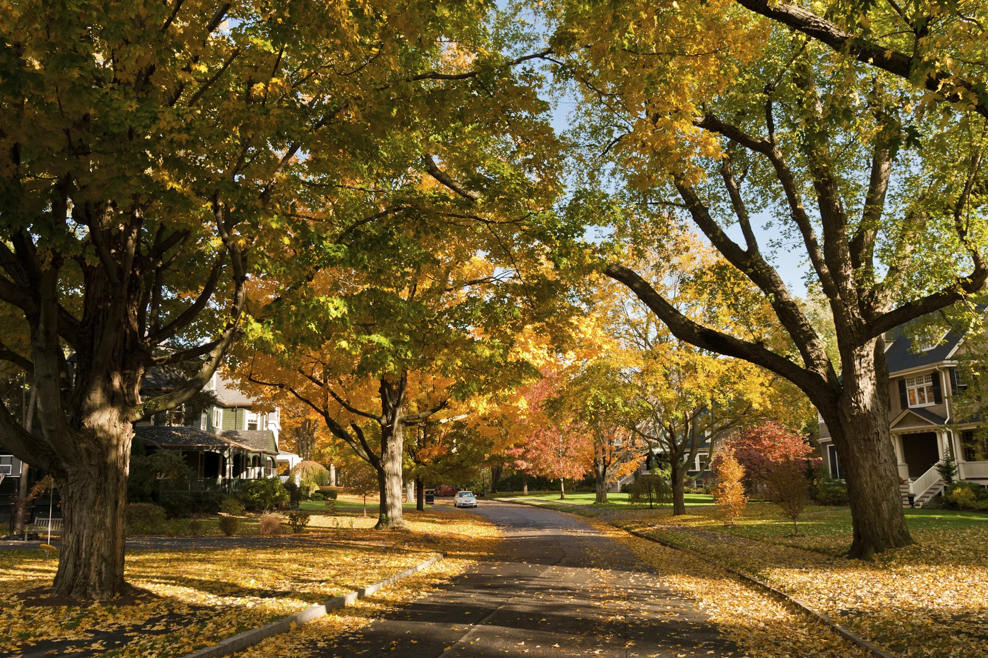 Boosting Your Home’s Efficiency This Fall