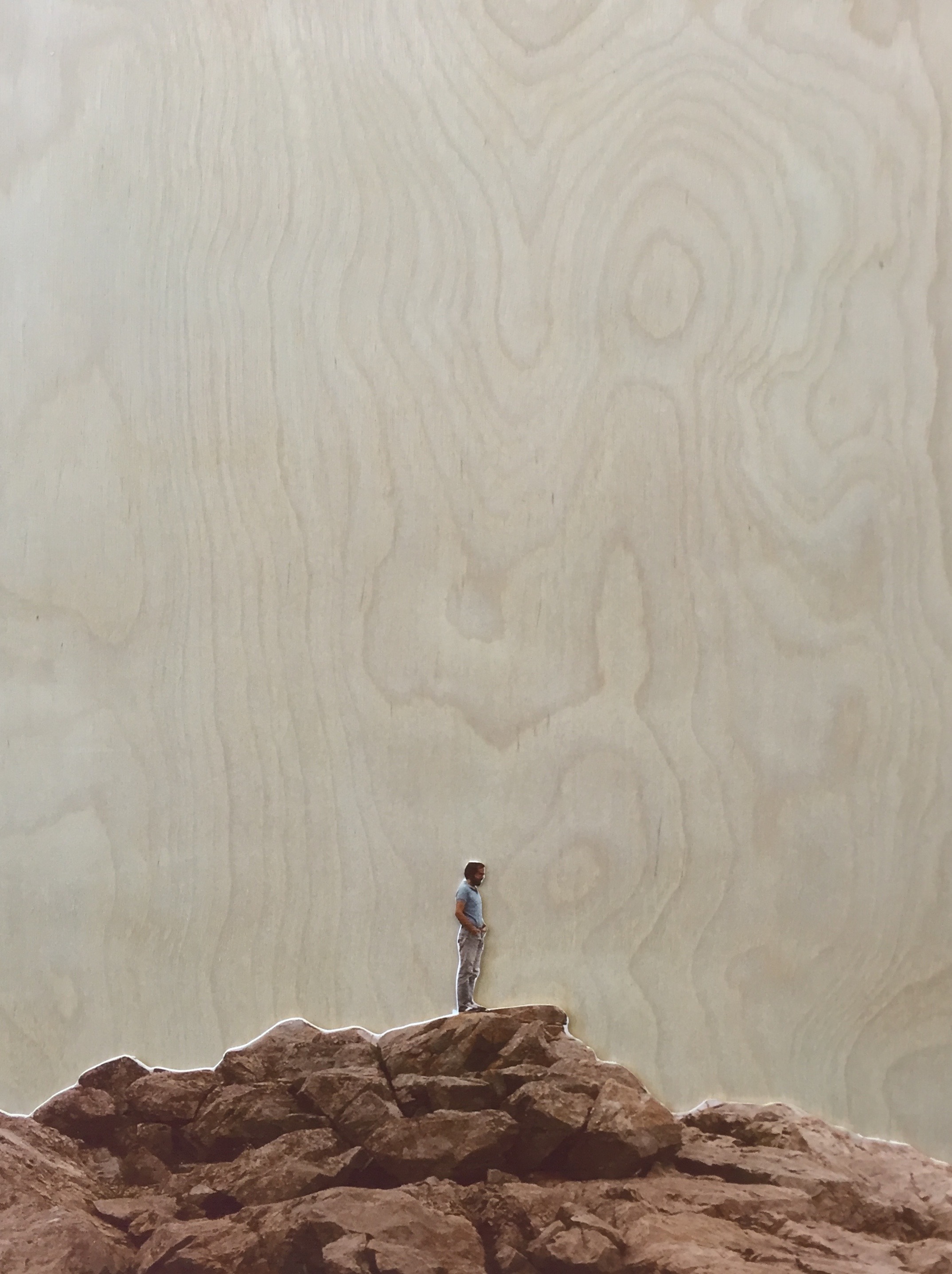 Wonderland - 2015 - Collage on wood panel
