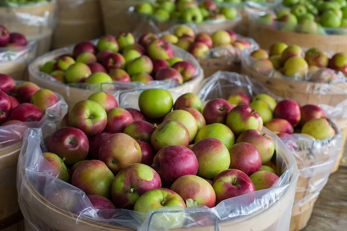 grey apples.jpg