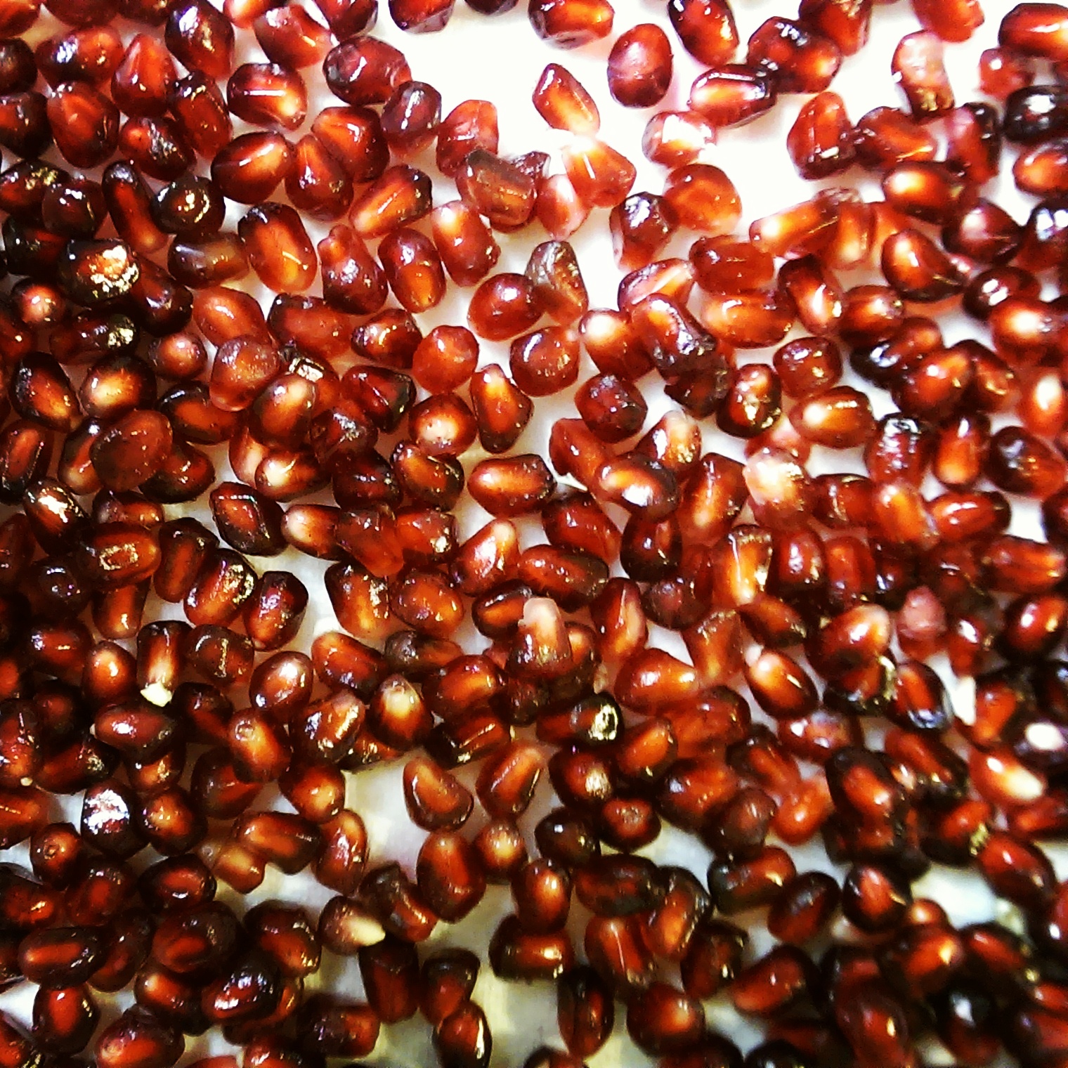 Pomegranate Arils