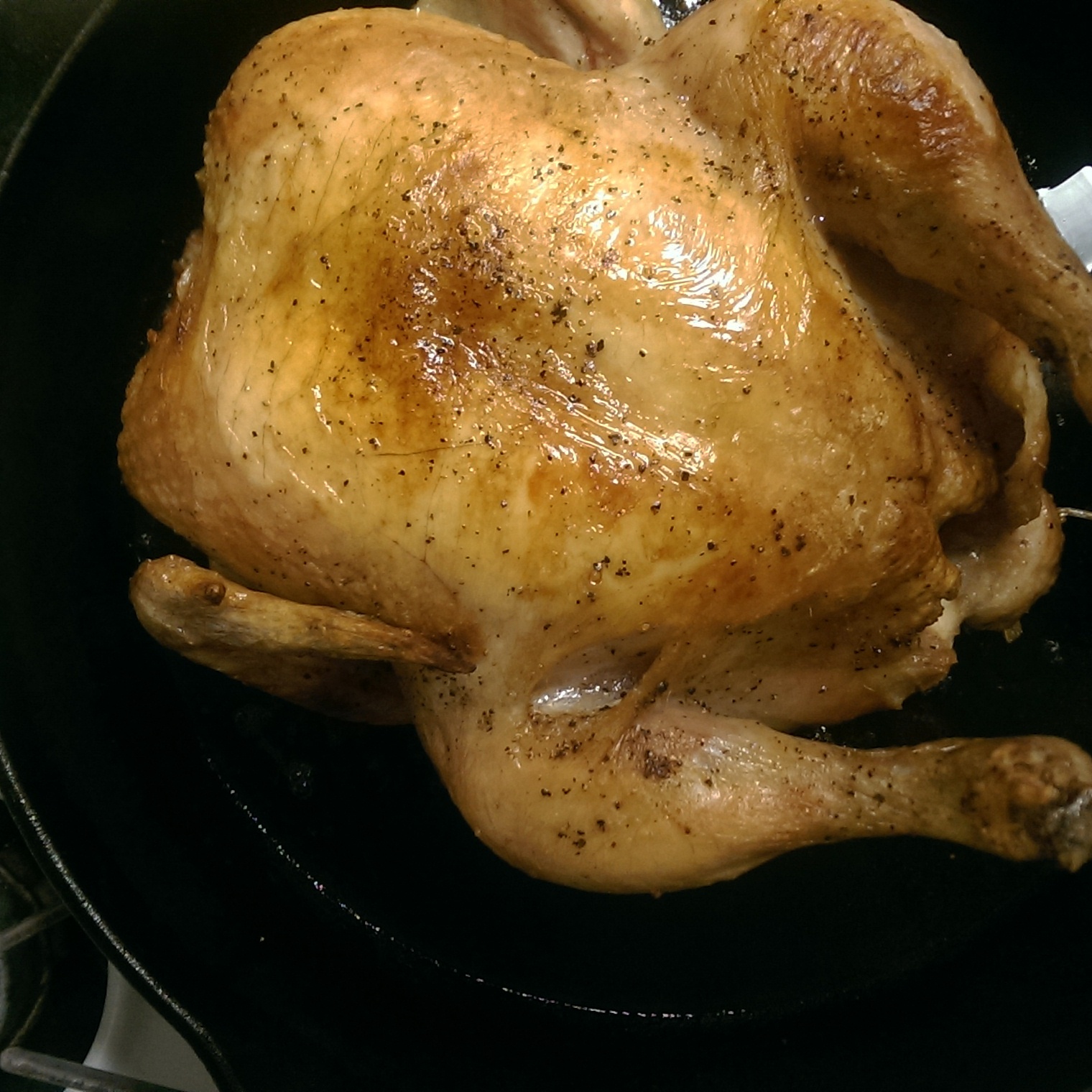 Roast Chicken