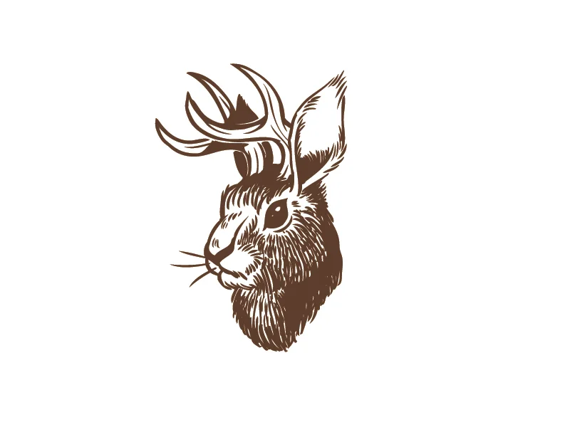 jackalope.jpg