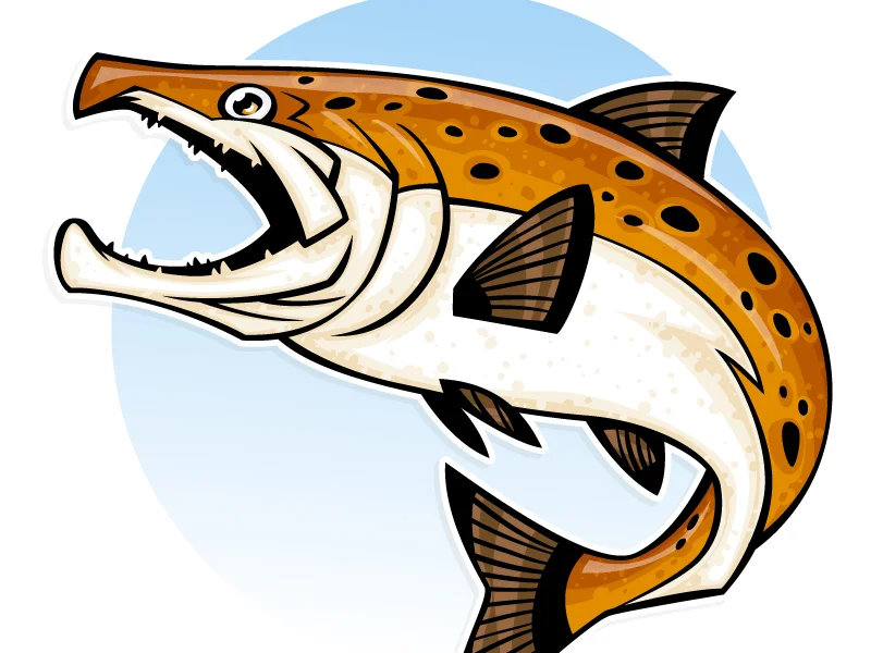 trout.jpg