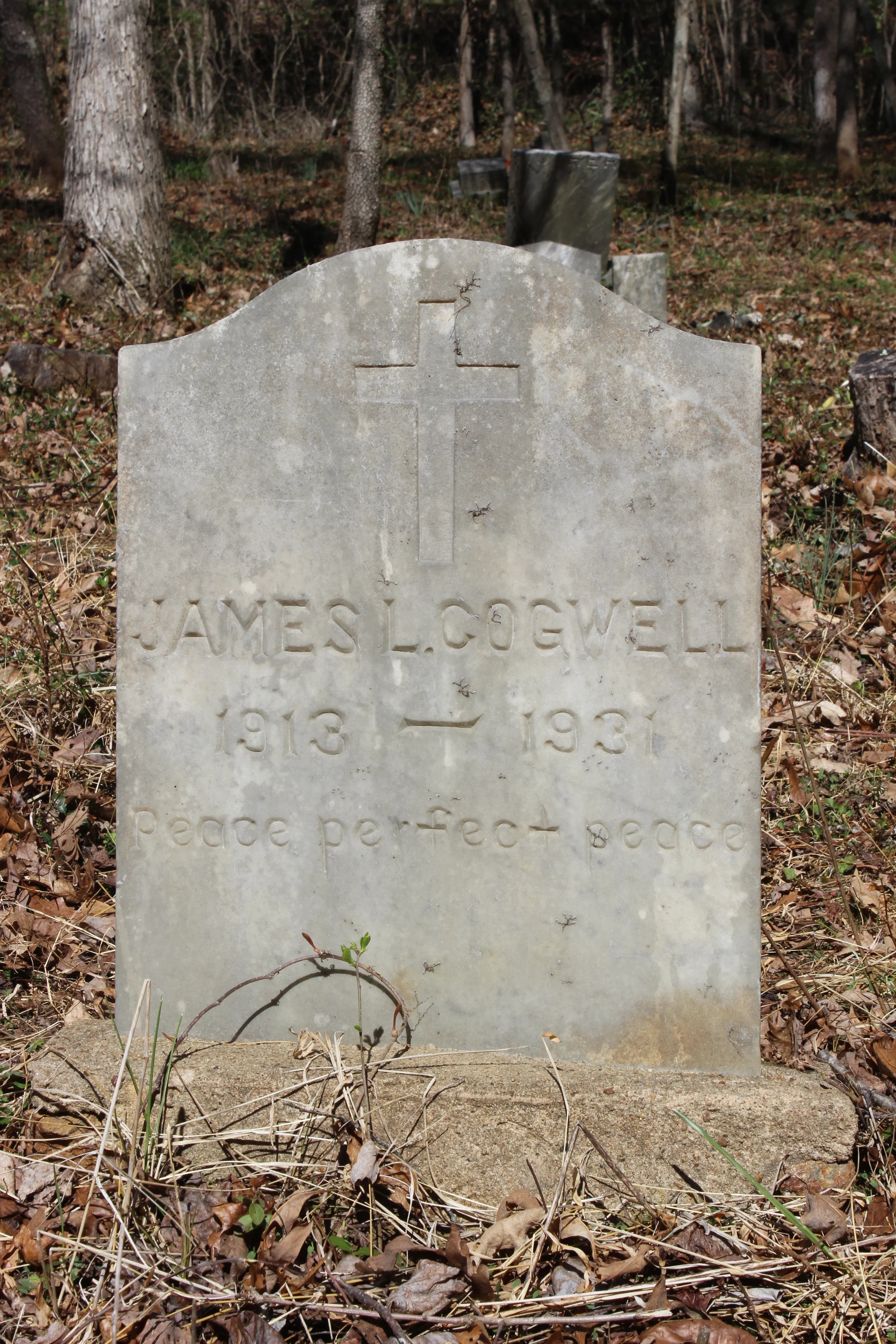 Cogwell, James L.