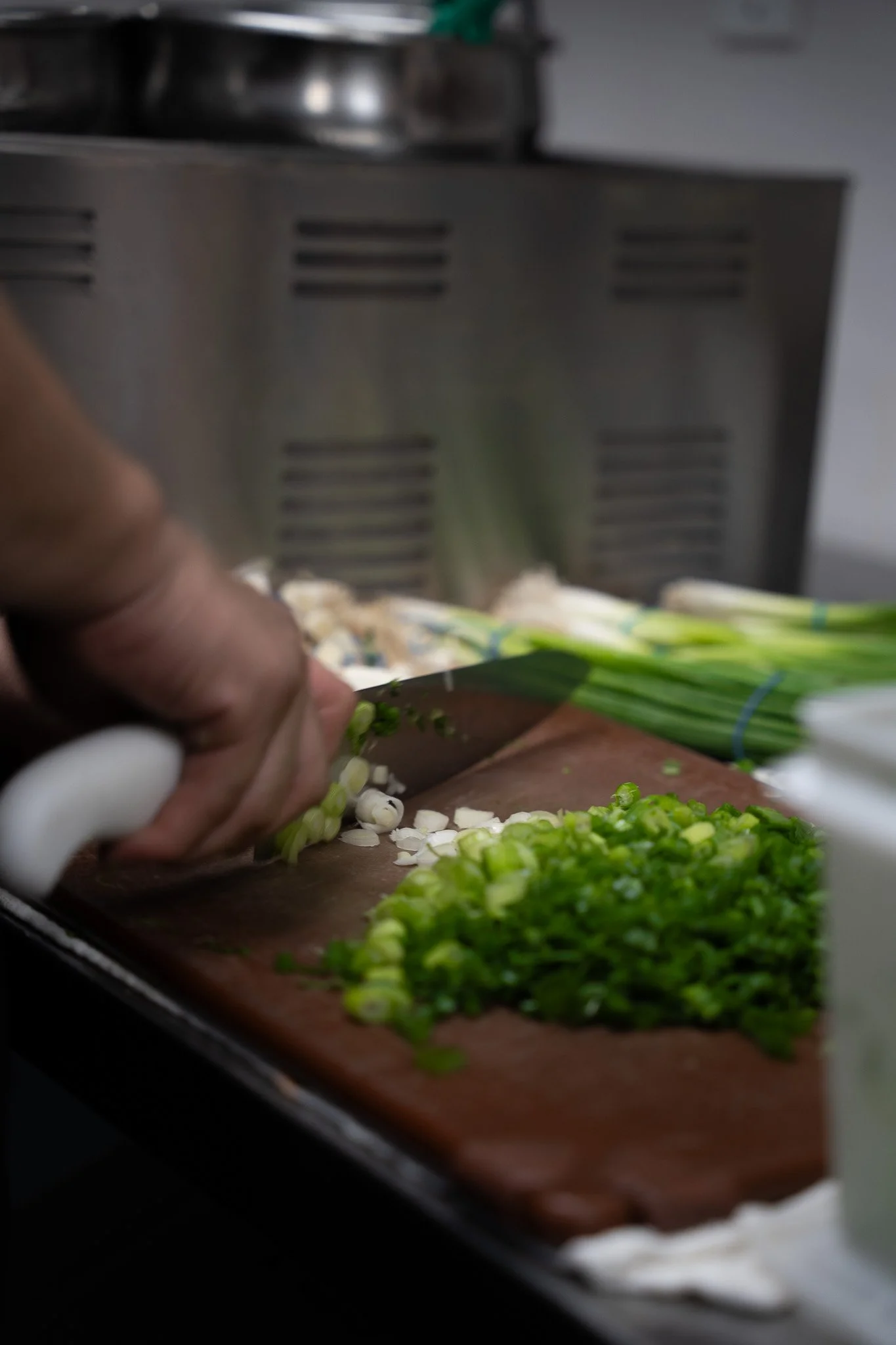 DSC04805 - Copy - Copy.jpg