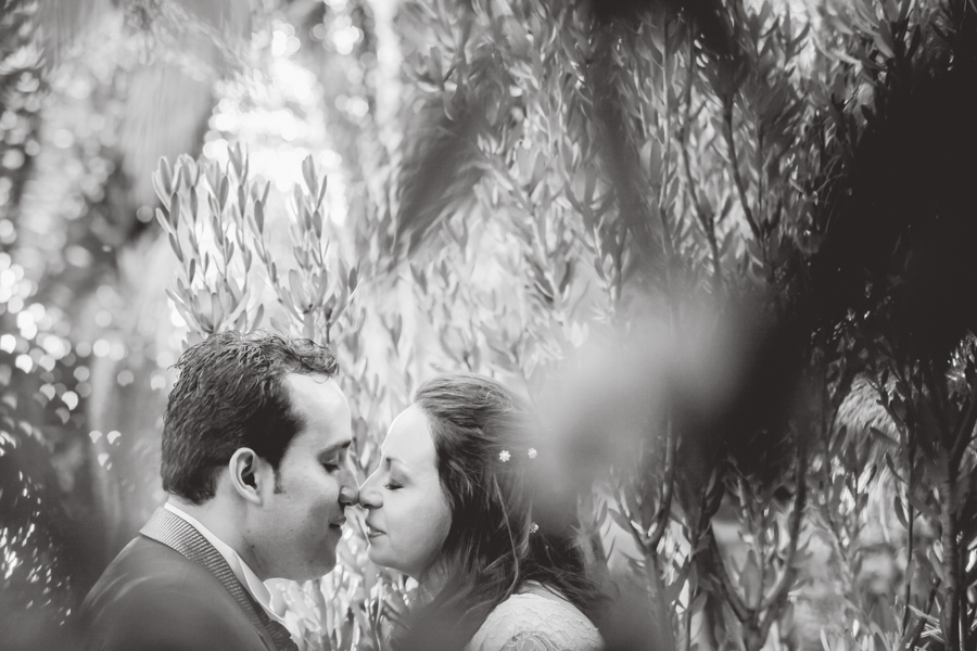 Diana + Diego - Matrimonio en Hacienda Monteleón 