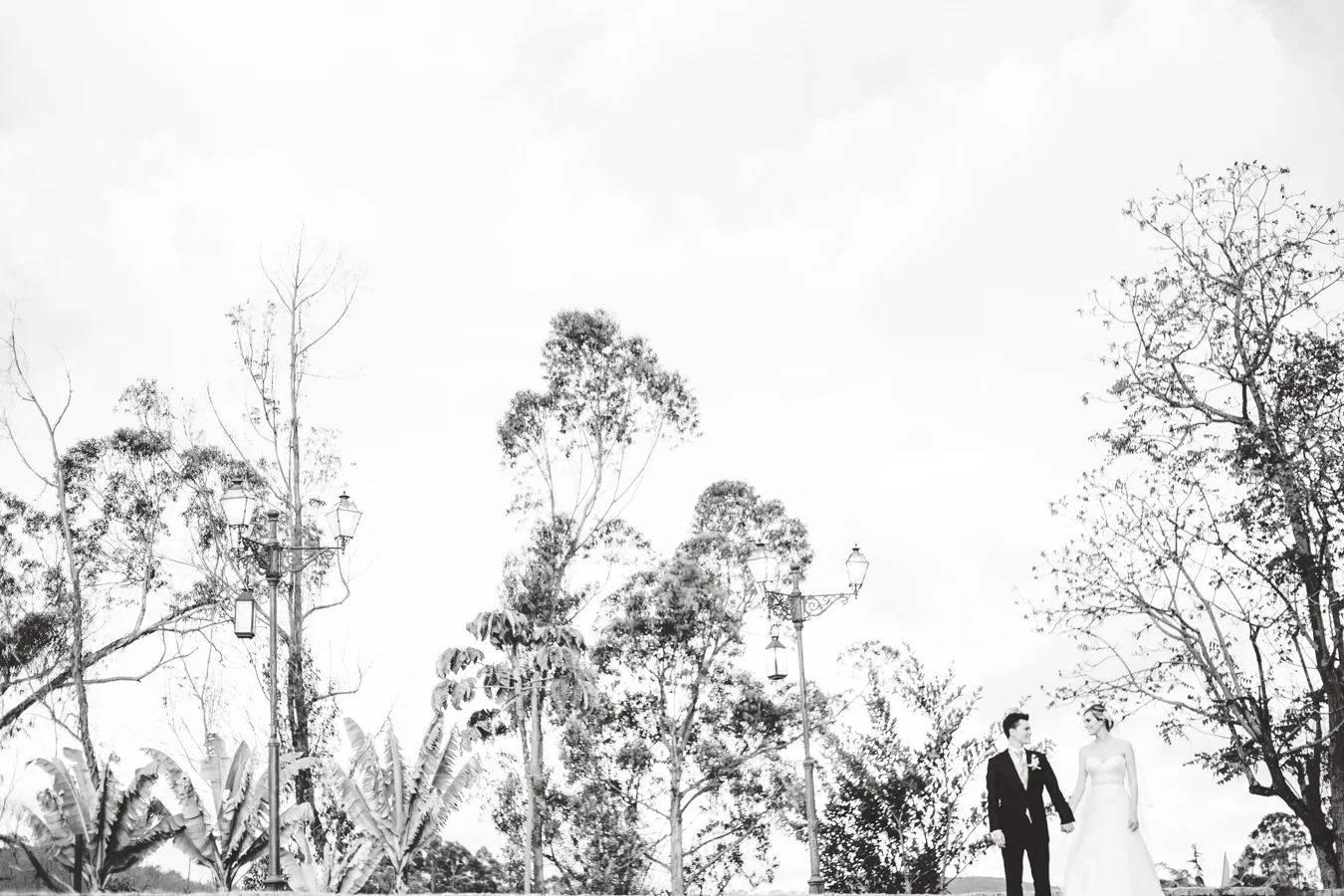 Natalia + Luis - Hacienda pozo chico