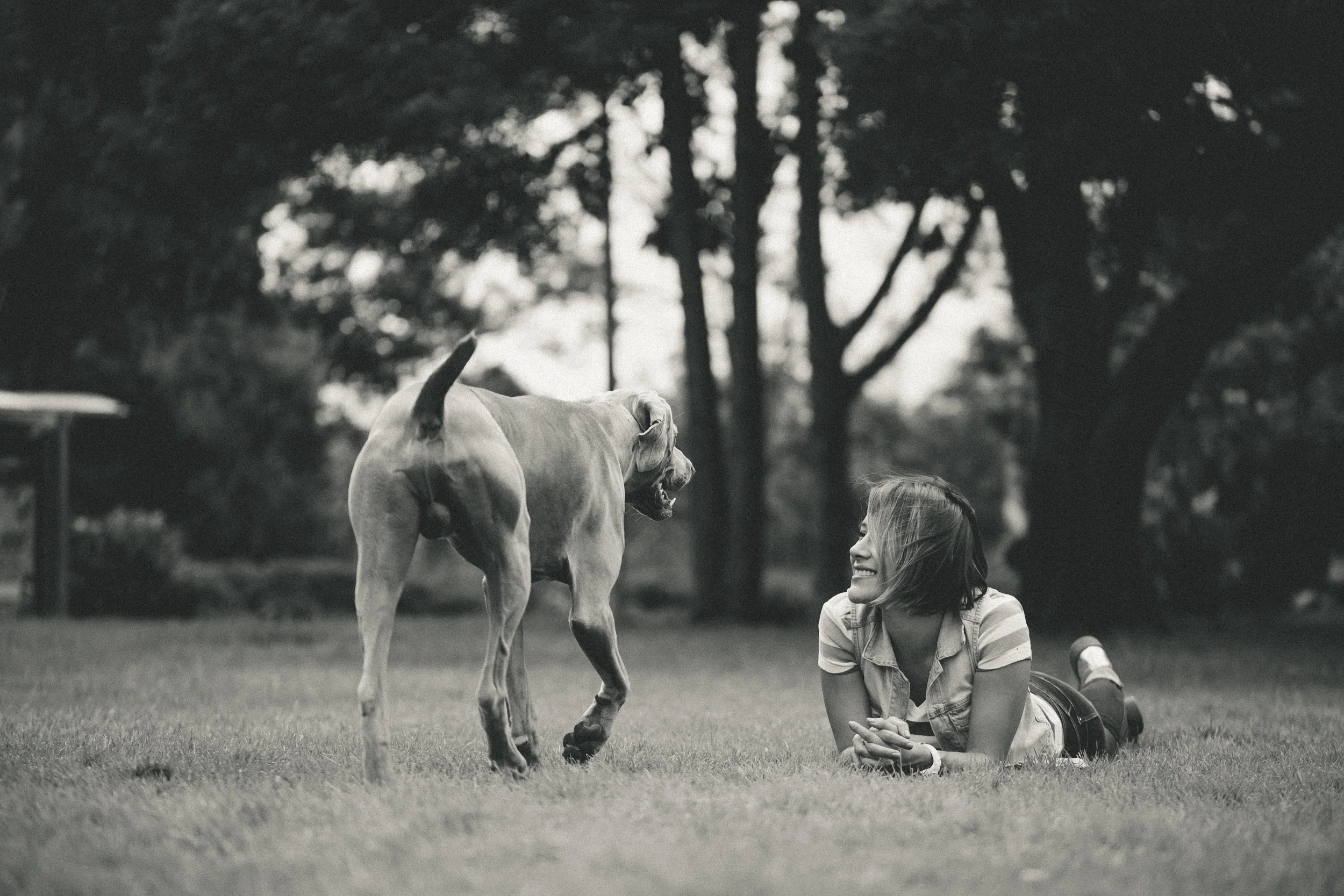 Portafolio Pets V1 0010.jpg