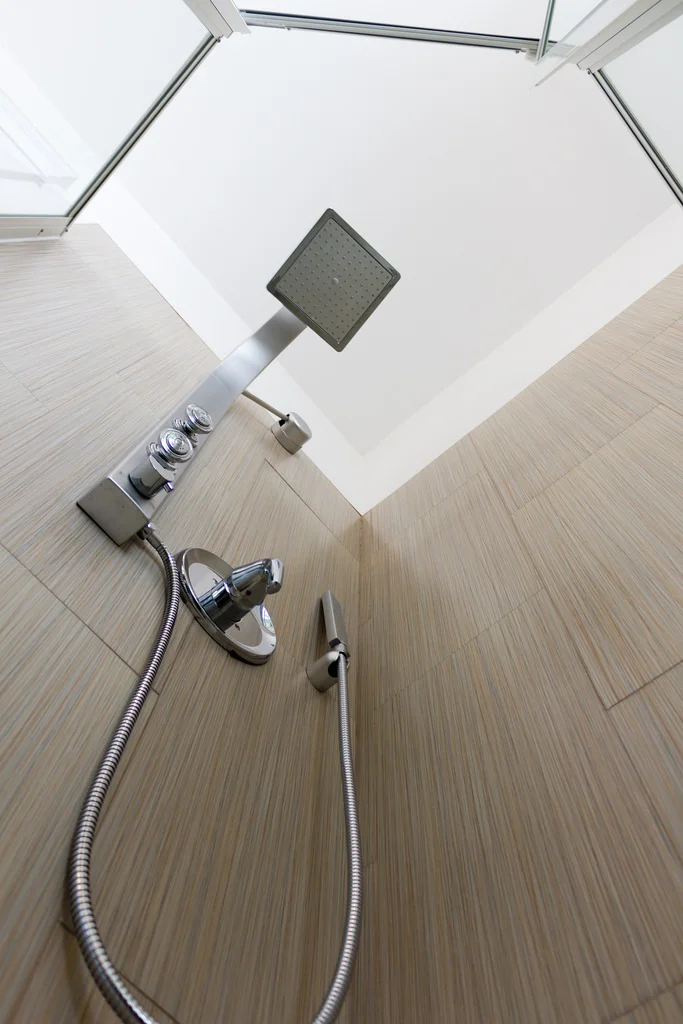 Master Bathroom Shower