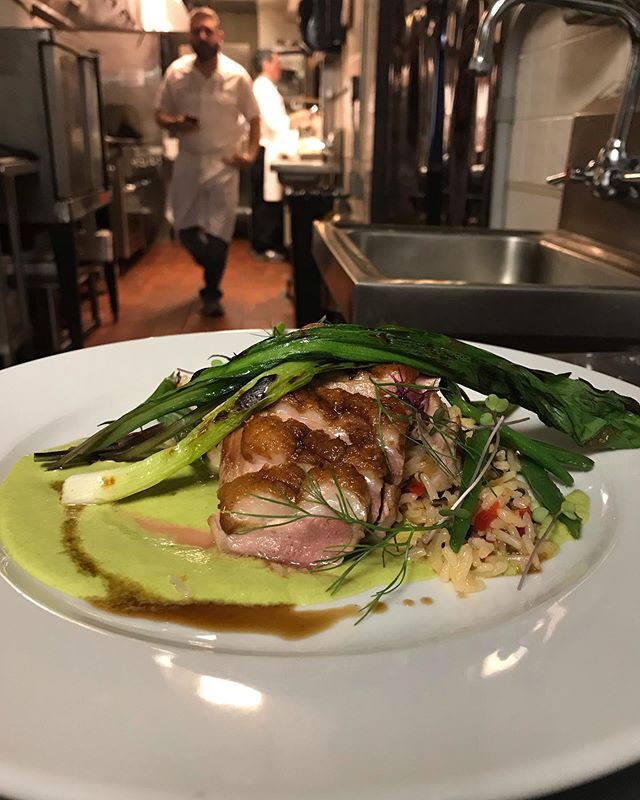 Special this evening!
Pan-Seared Duck Breast
Kimchi Rice
Wild Ramp Purée
Grilled Scallions and Green Beans