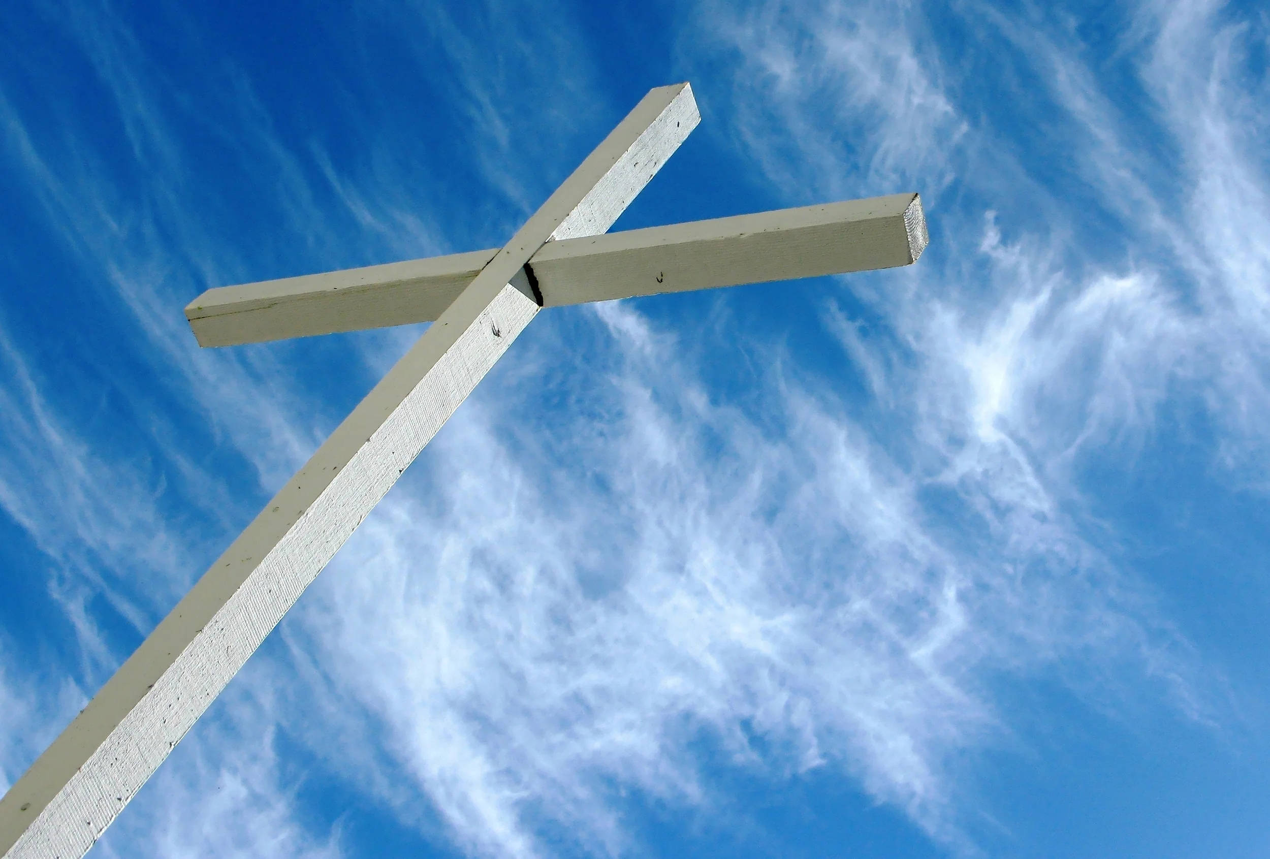 September 14, 2014 Sermon: "Live to Live Again"