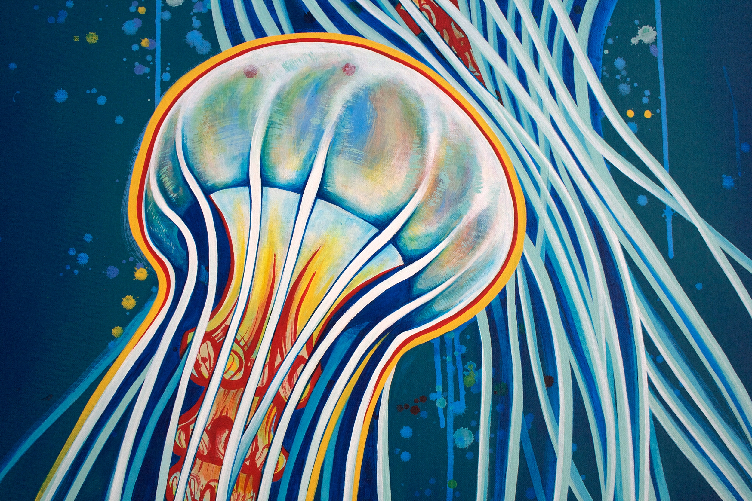 Bottom jelly