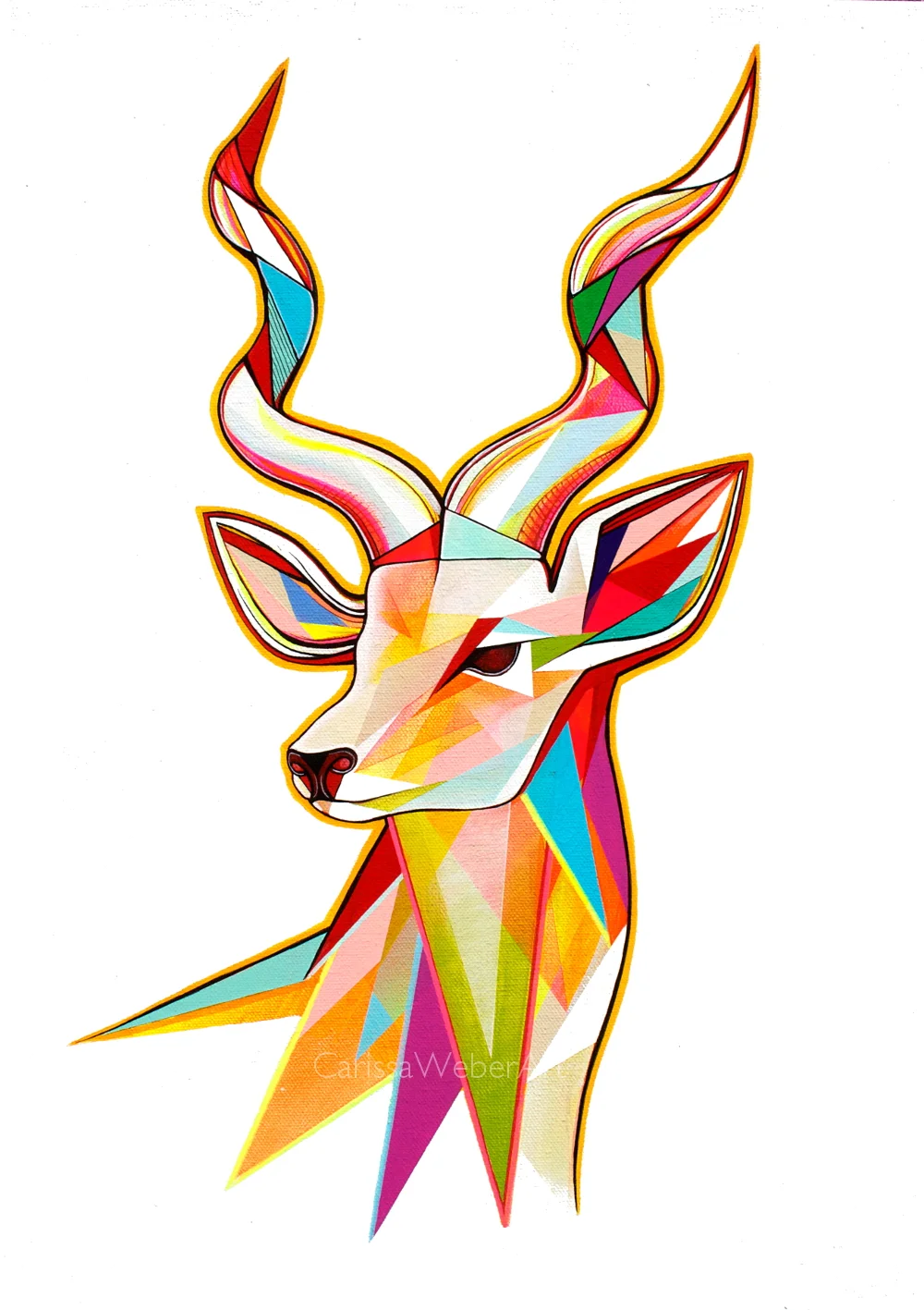 Antelope