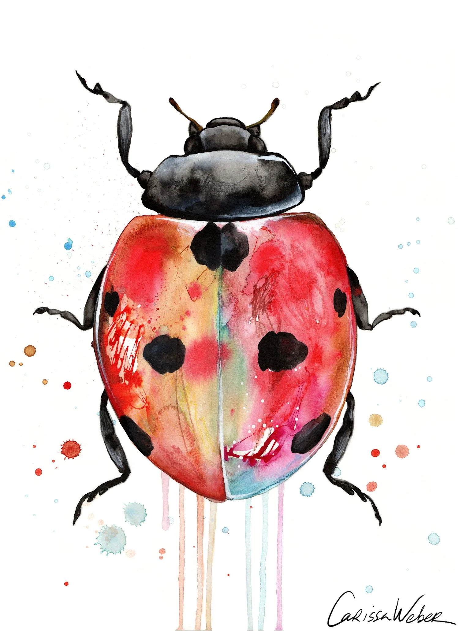 bugs &amp; butterflies