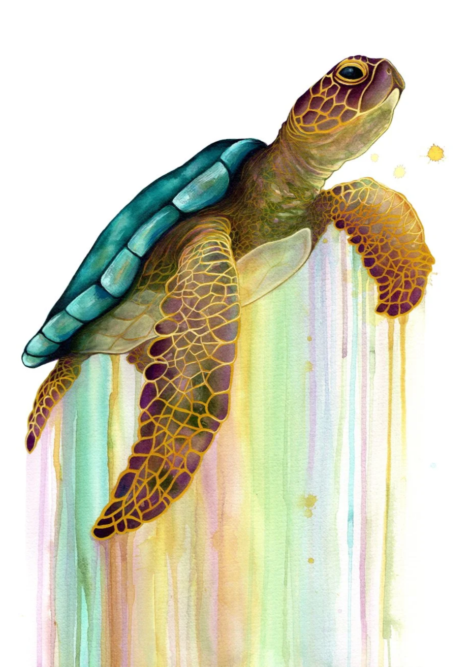 sea life