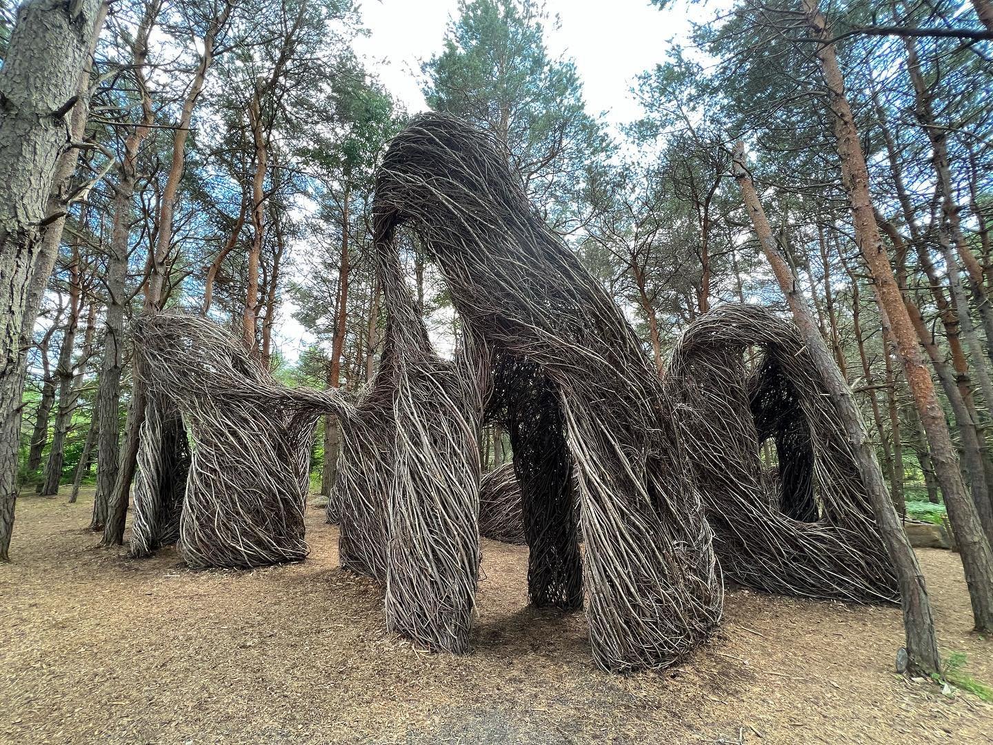 The Wild Center Performance