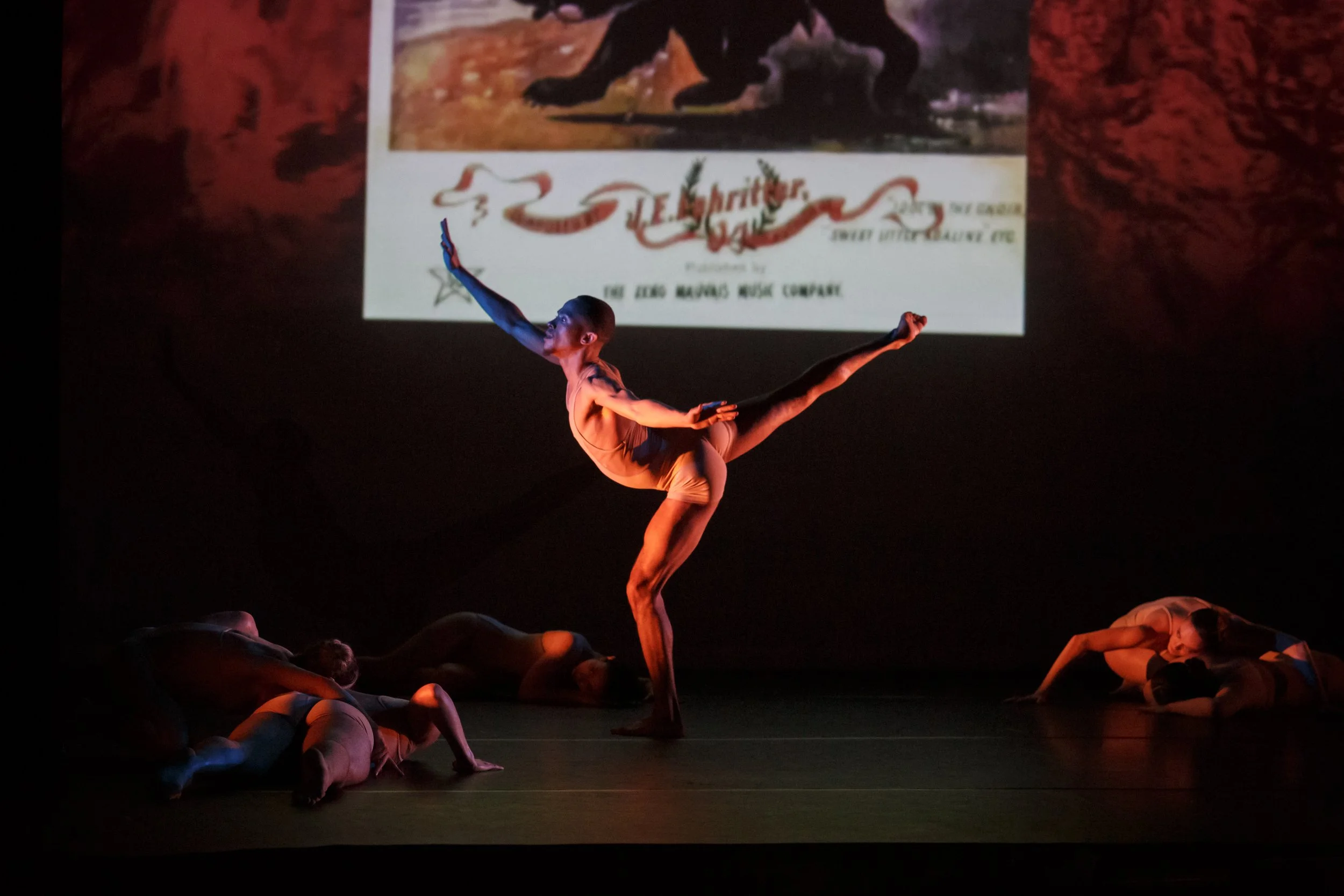 vildwerk. presents Dancing for the Wild
