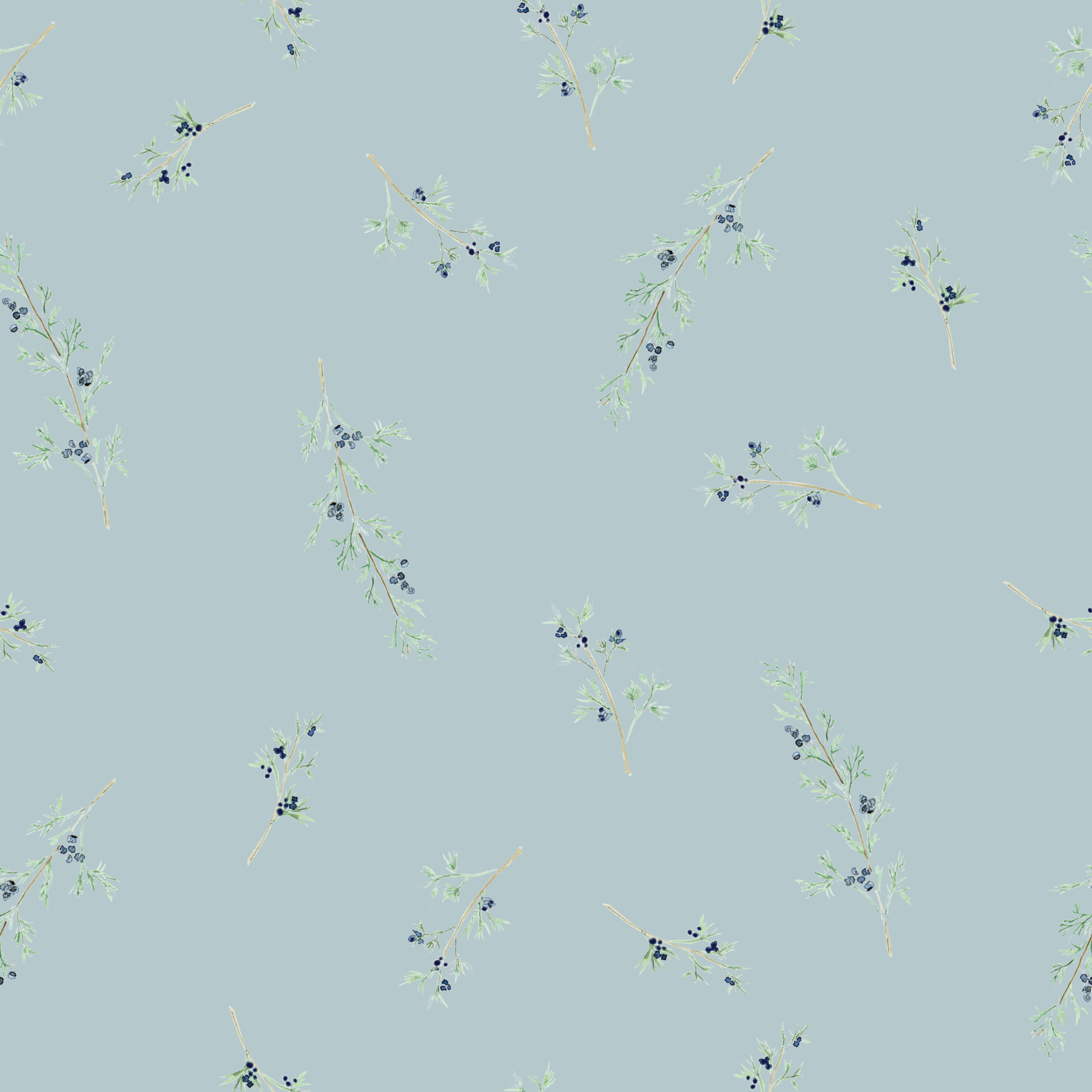 Juniper Berries.png