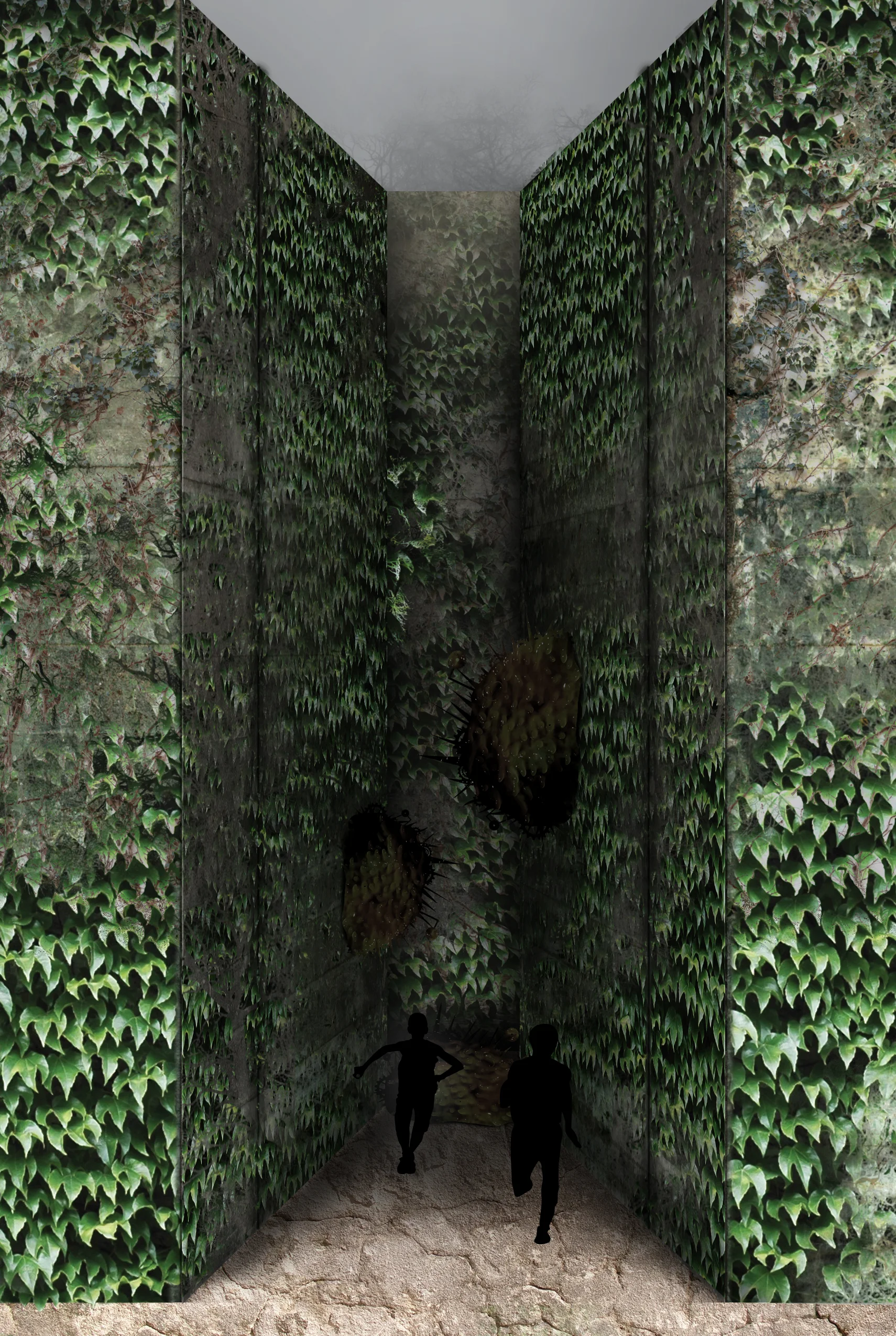 One Image Trial.jpg