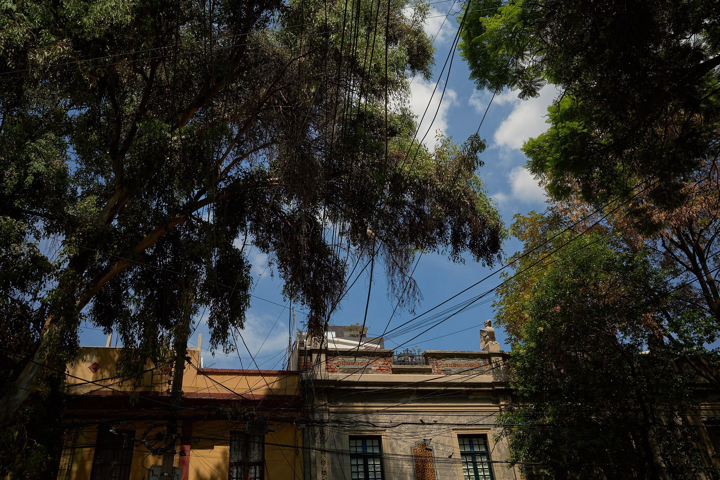 R0003858.jpg