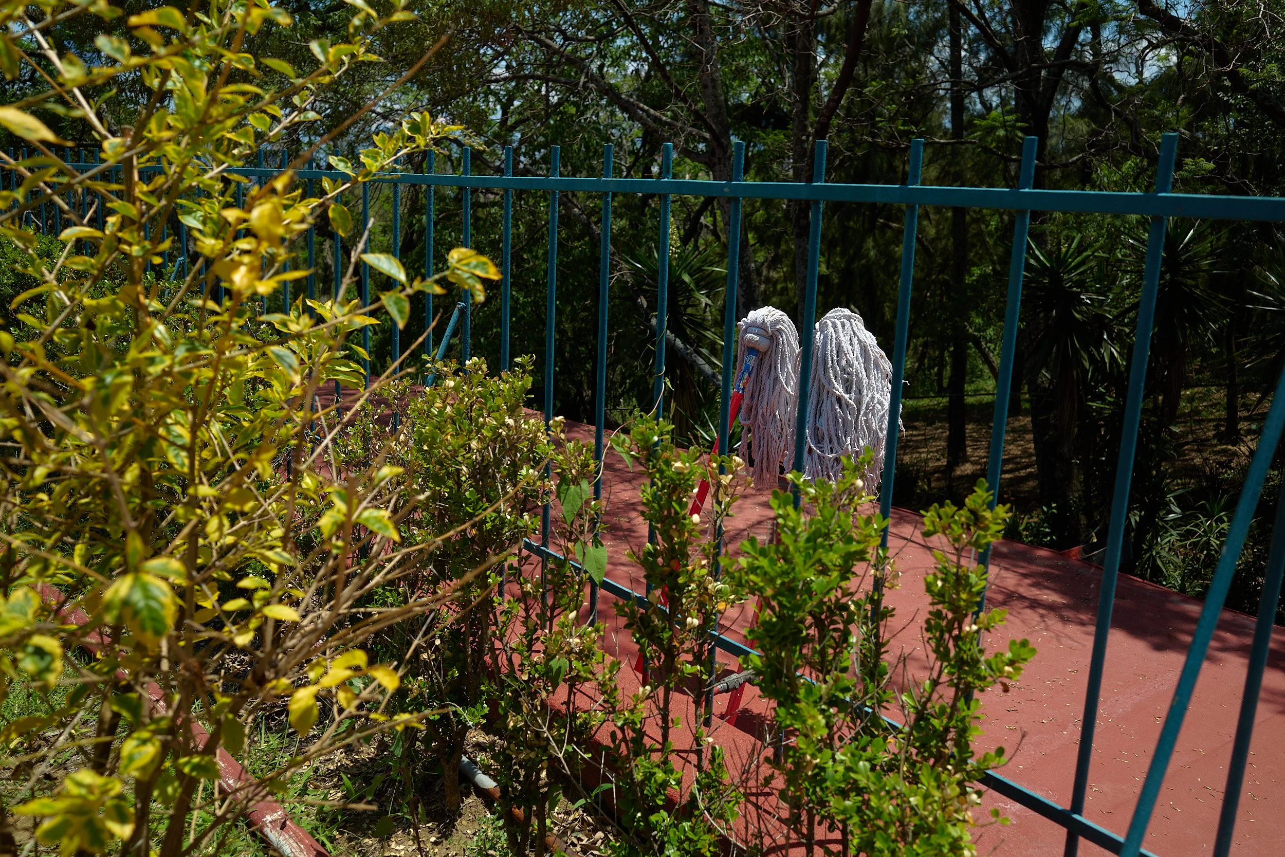 R0003781.jpg