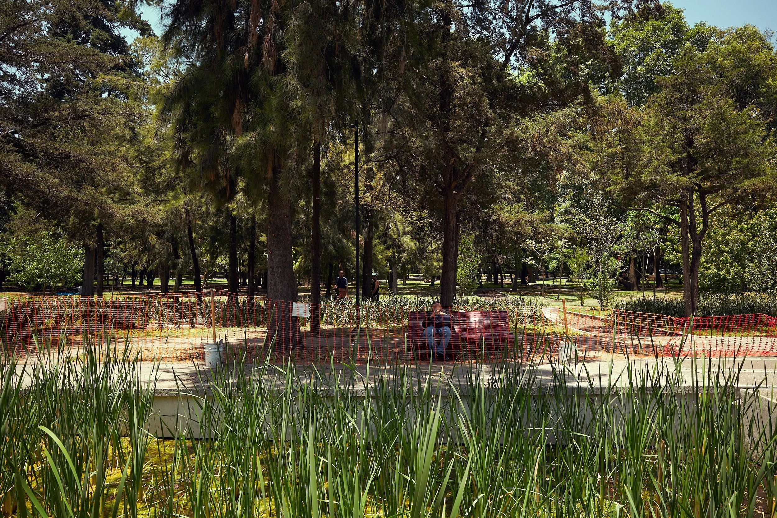 R0003770.jpg
