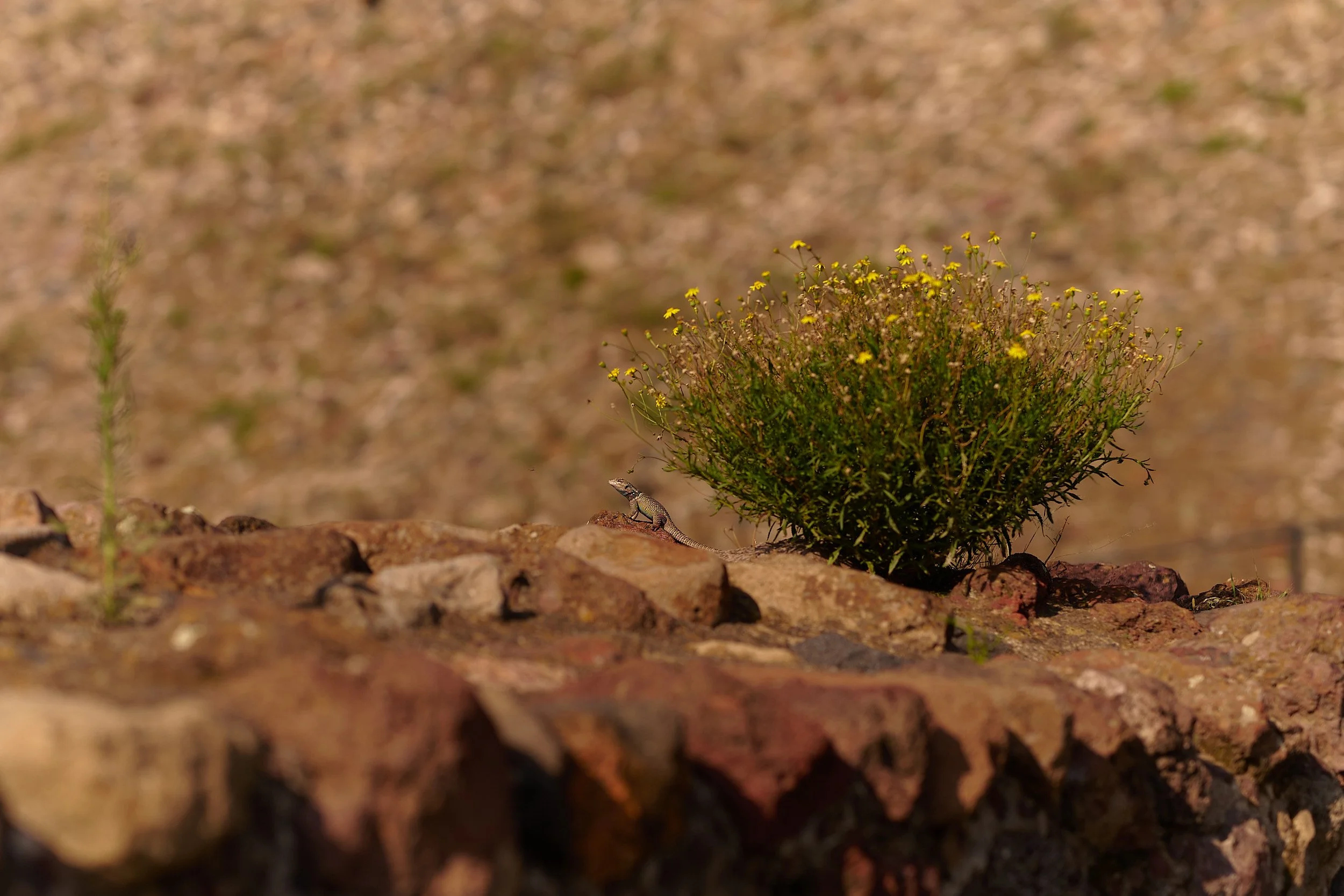 L1054892.jpg