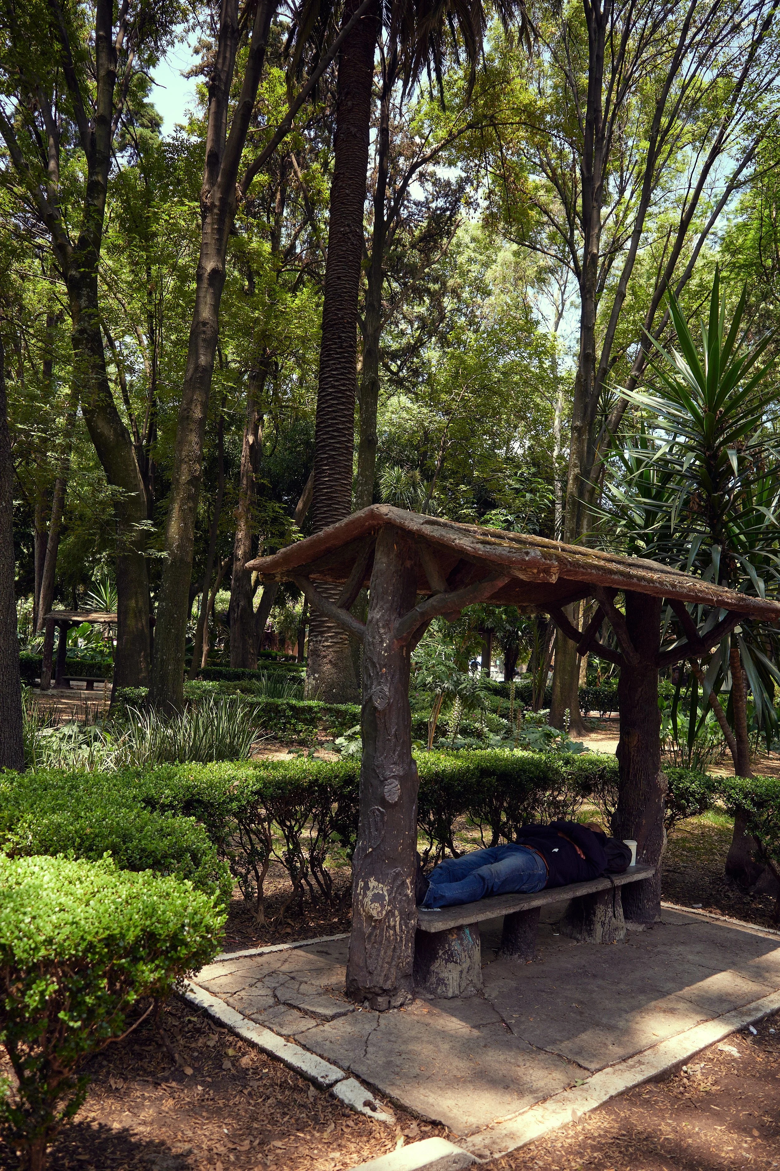 R0003869.jpg