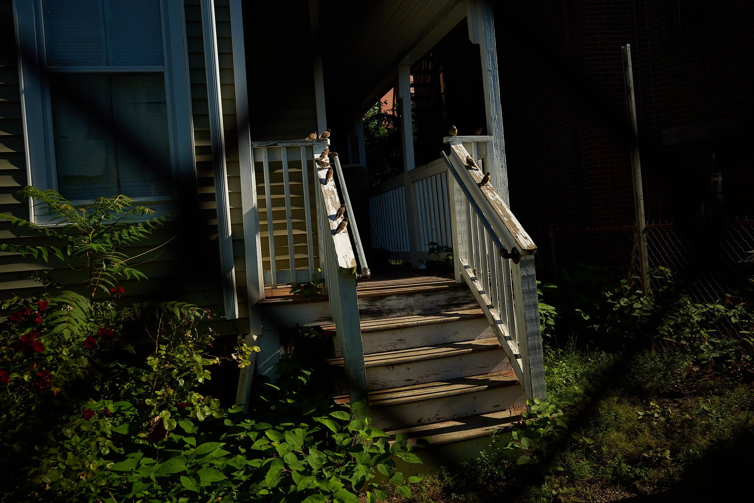 R0004127 1.jpg