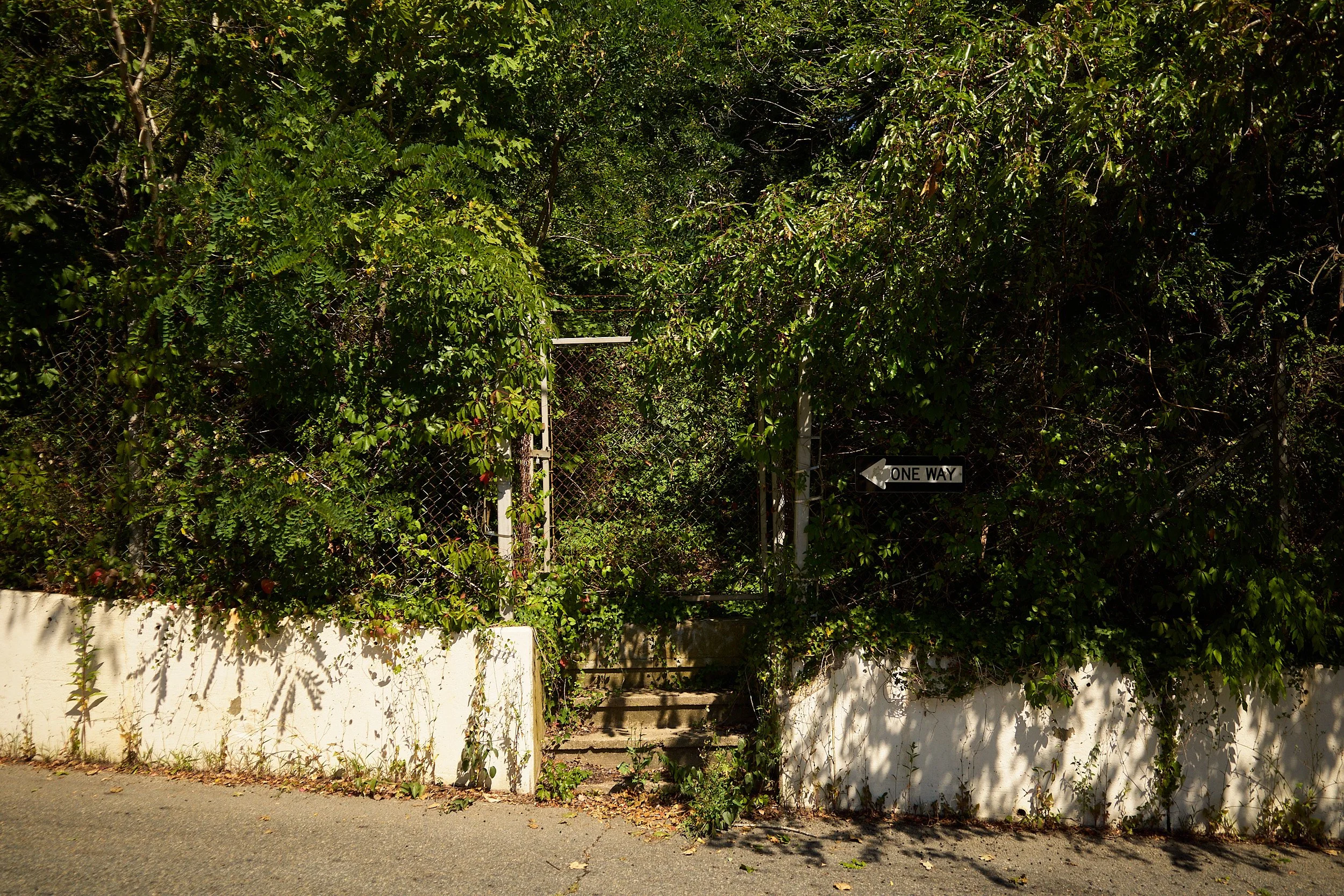 R0004167 1.jpg