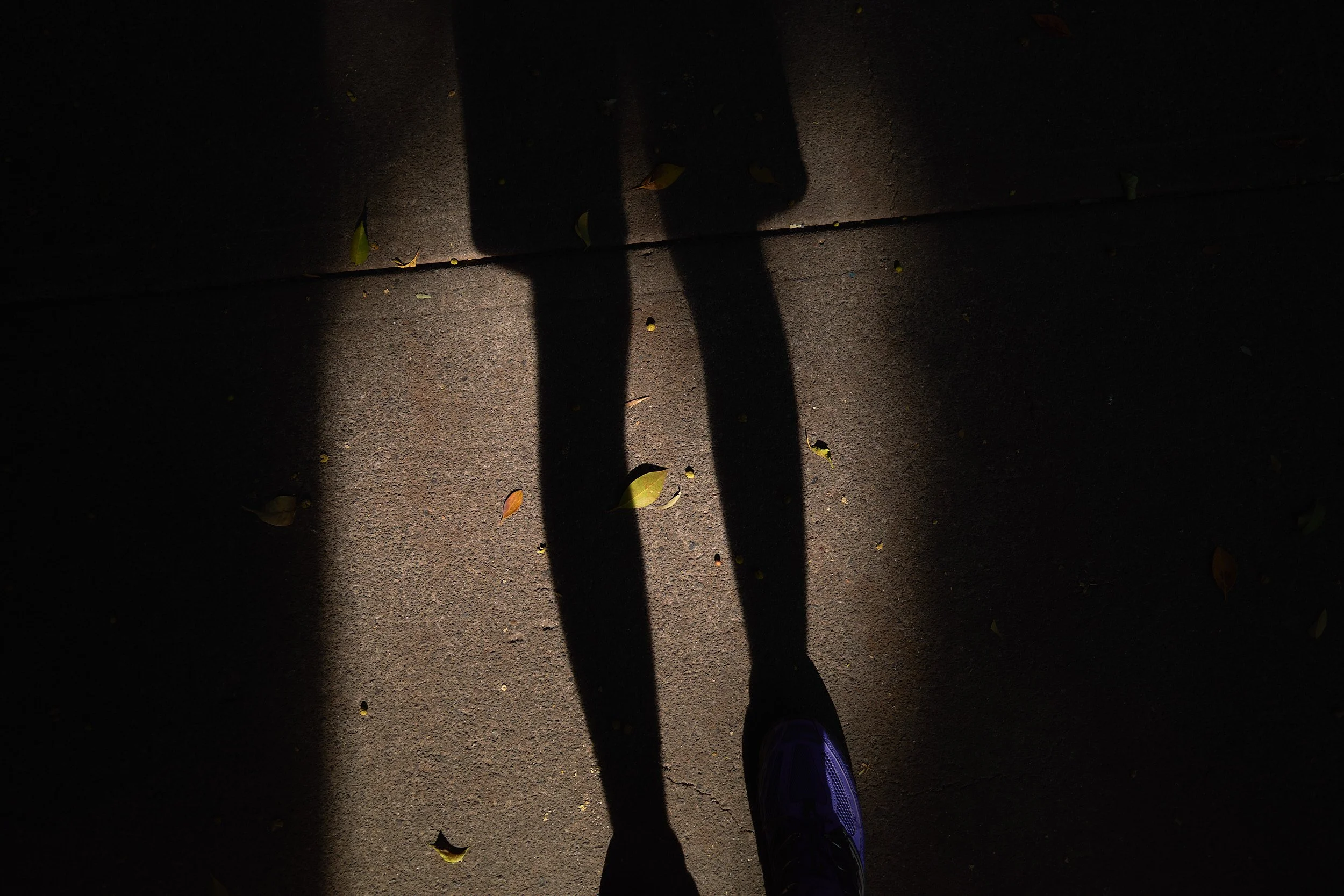 R0003702.jpg