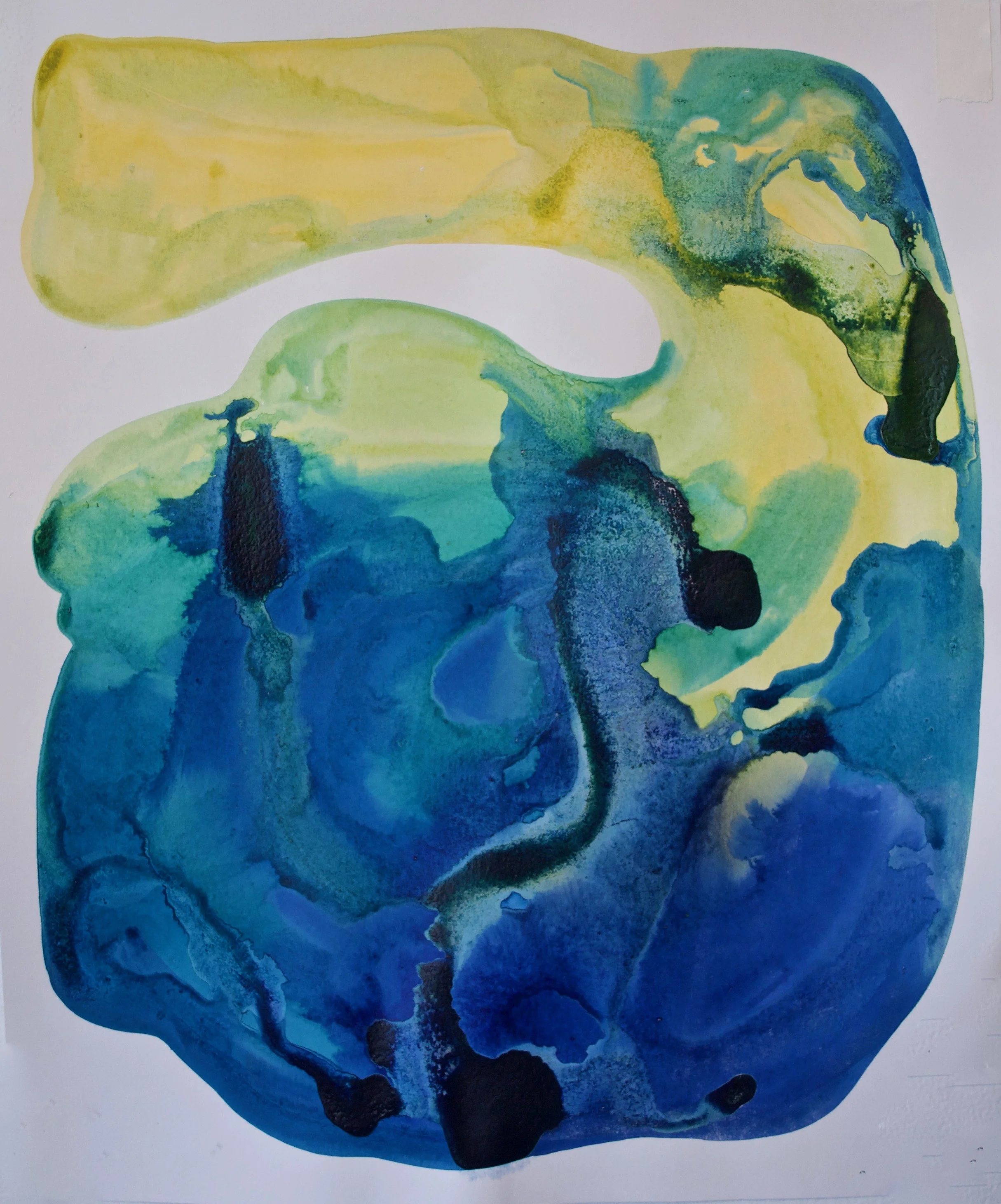 Acrylic on Paper 14 x 17 Inches
