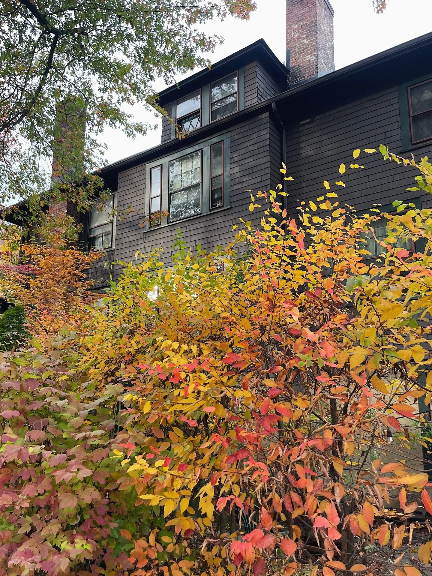 it&rsquo;s actually sweeet 🍂