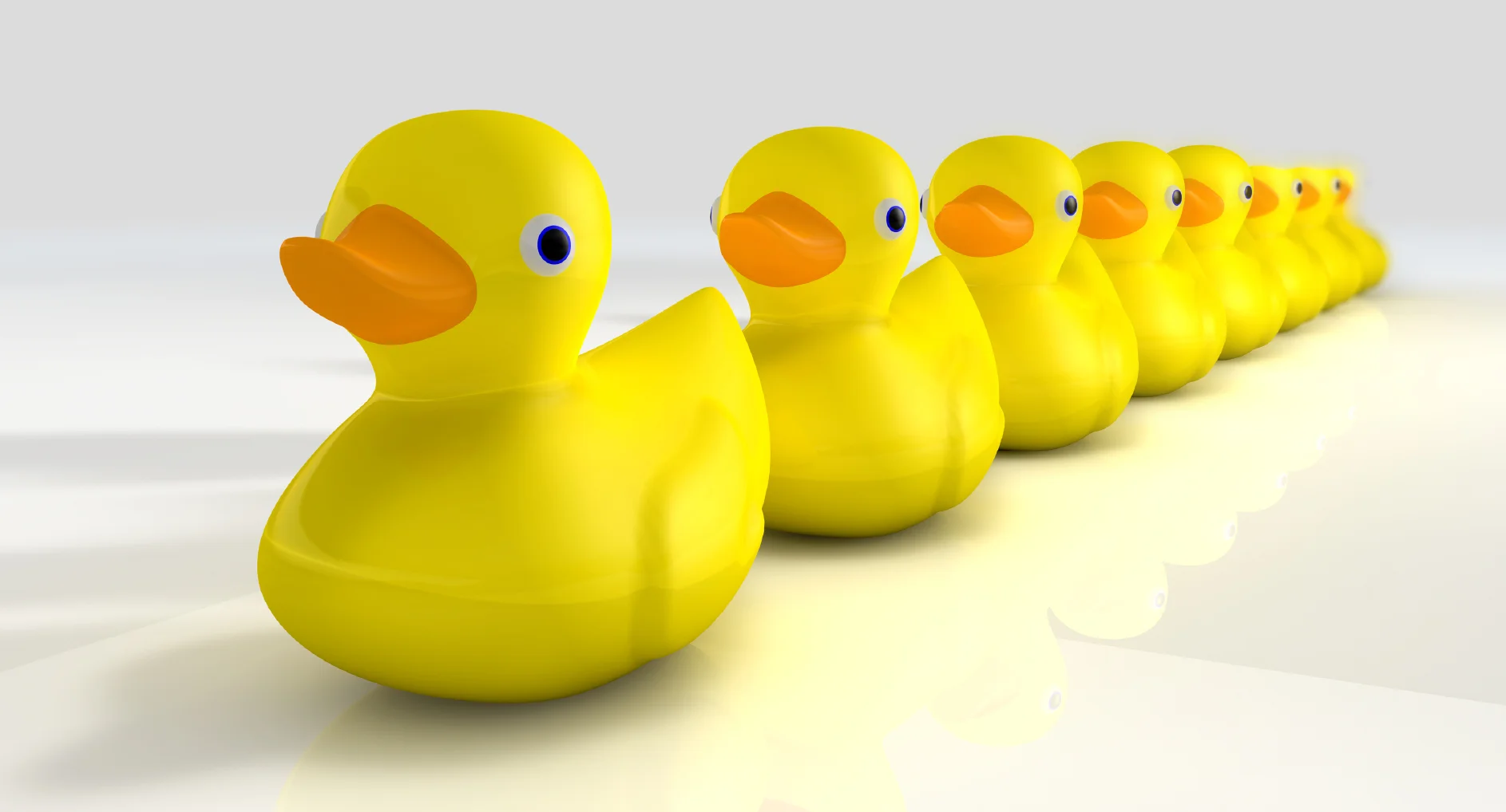 ducks.jpg