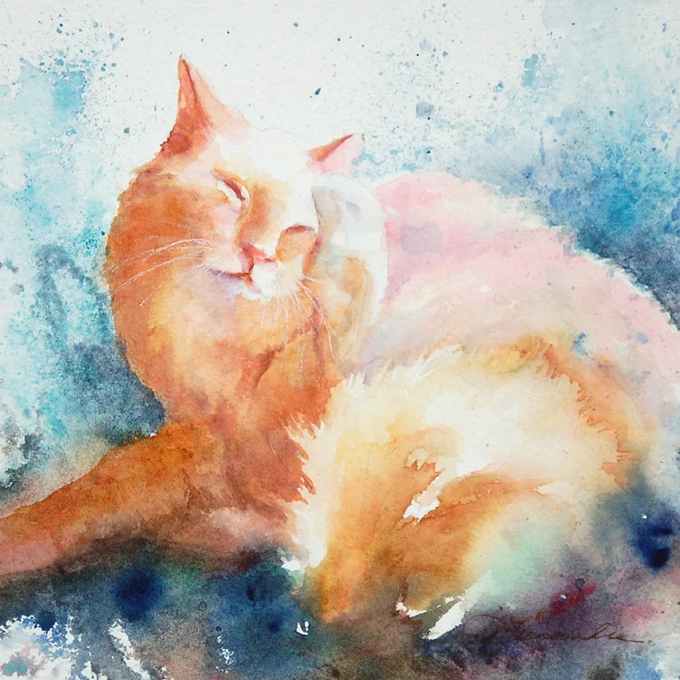fenander-cat-bathing-series-no1-7x7.jpg